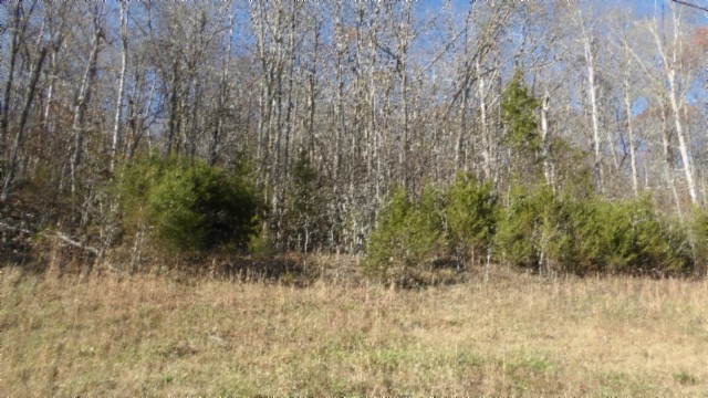 0 Cheyenne Drive Jamestown TN 38556