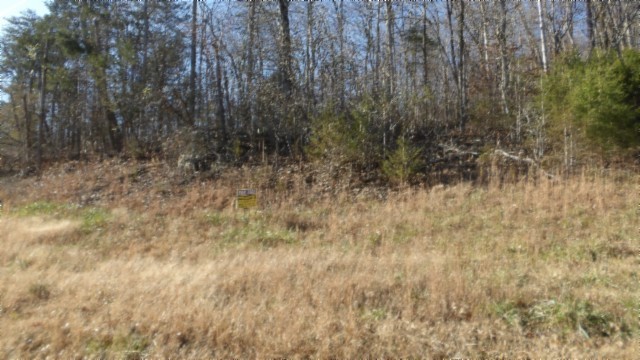 0 Cheyenne Drive Jamestown TN 38556