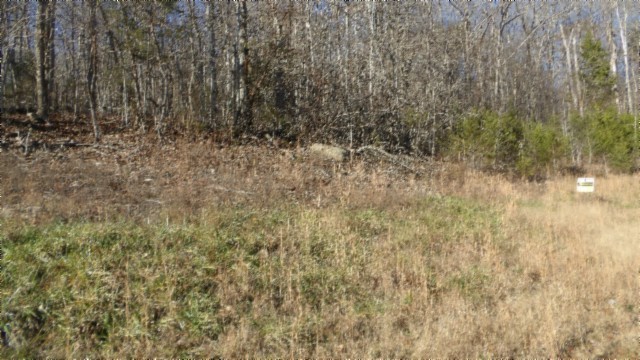 0 Cheyenne Drive Jamestown TN 38556