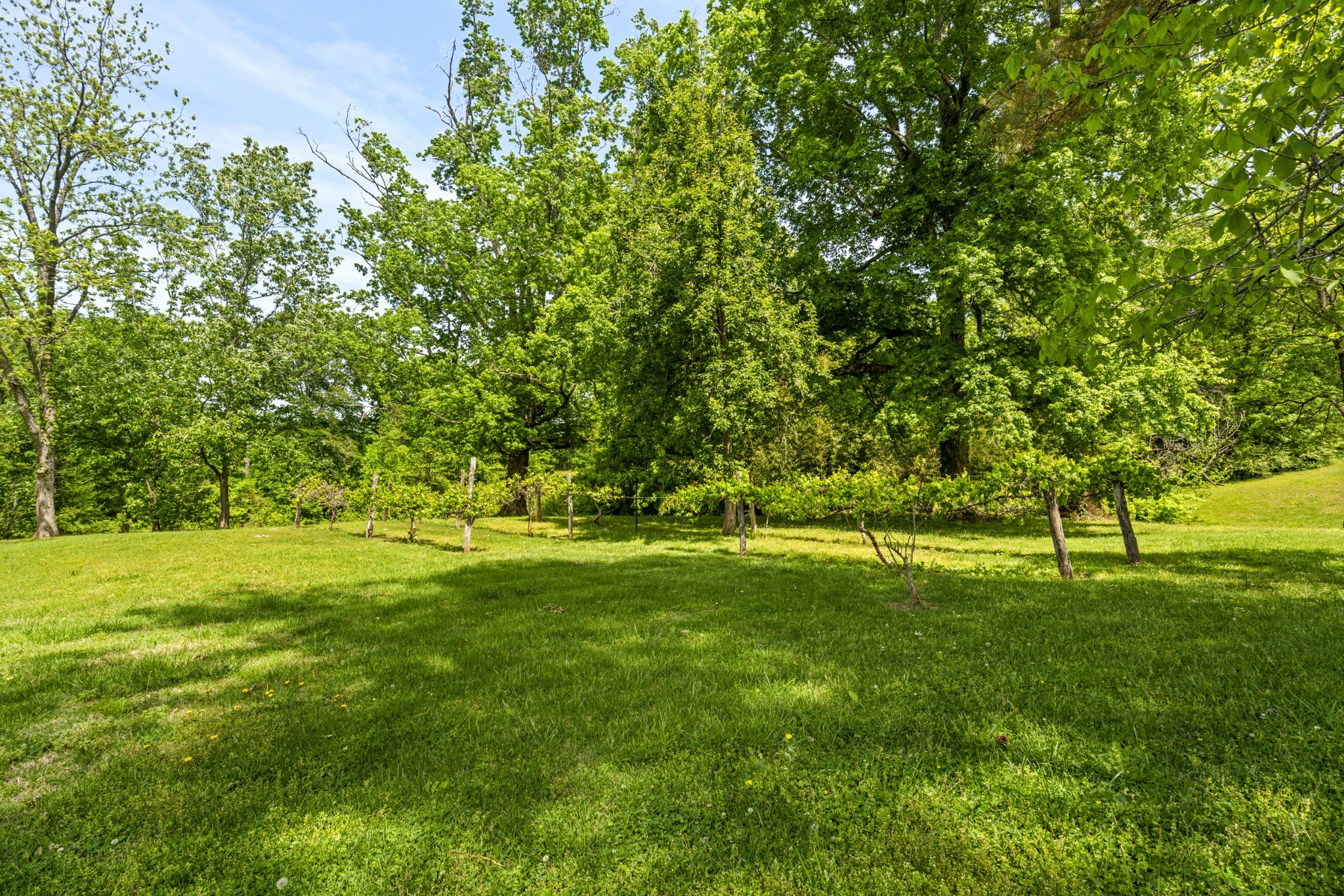 444 Cooley Road Waverly TN 37185