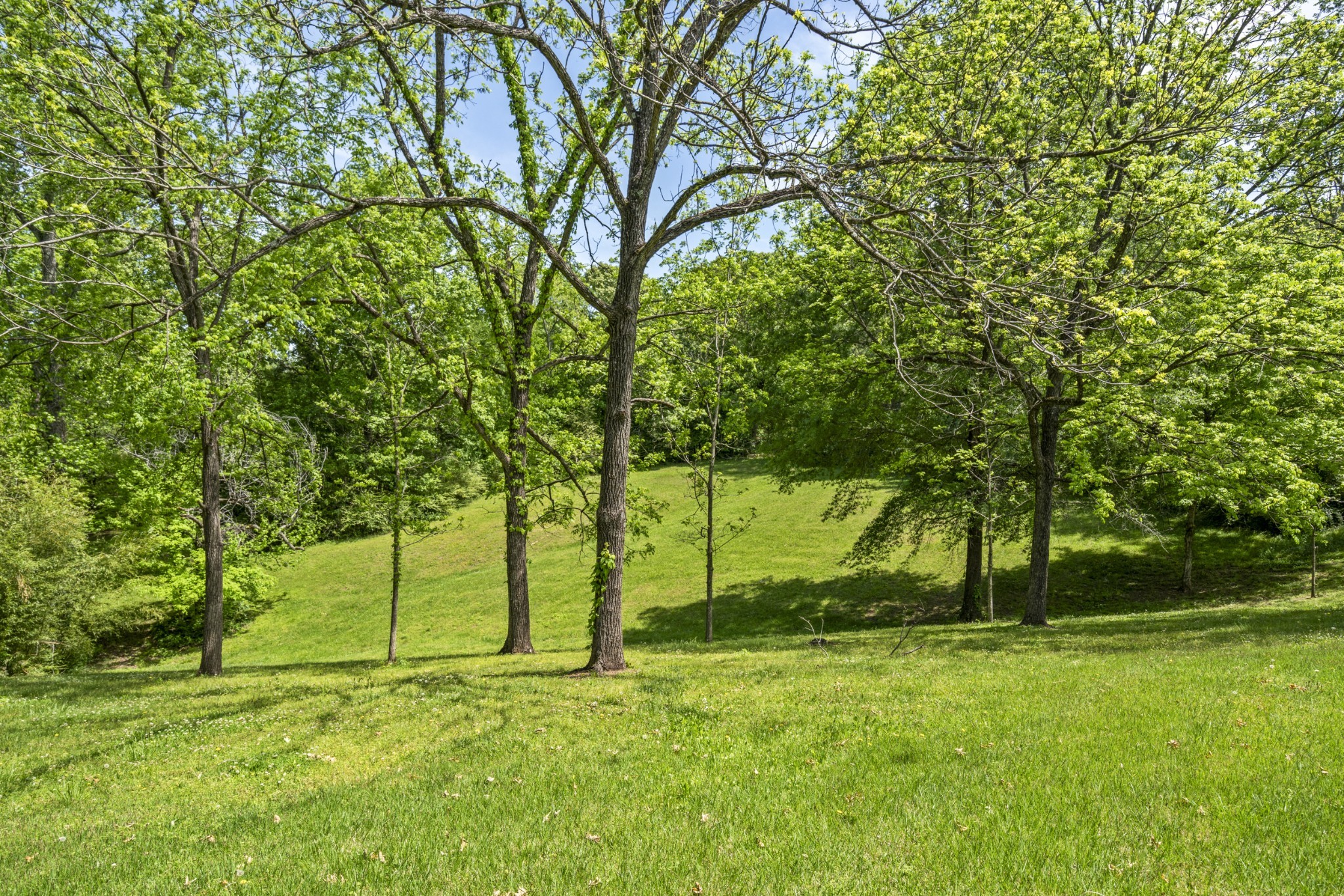 444 Cooley Road Waverly TN 37185