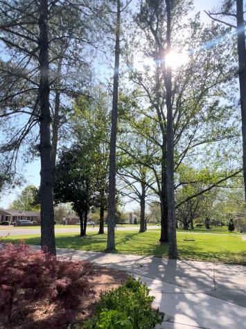 813 Stonebrook Boulevard Nolensville TN 37135