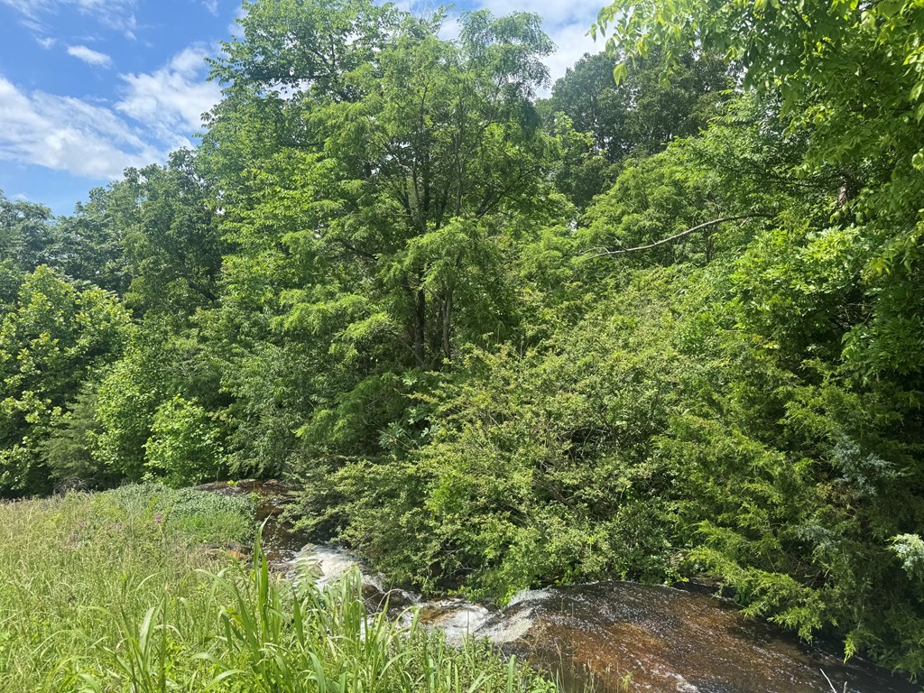 0 Vandy Circle Sparta TN 38583
