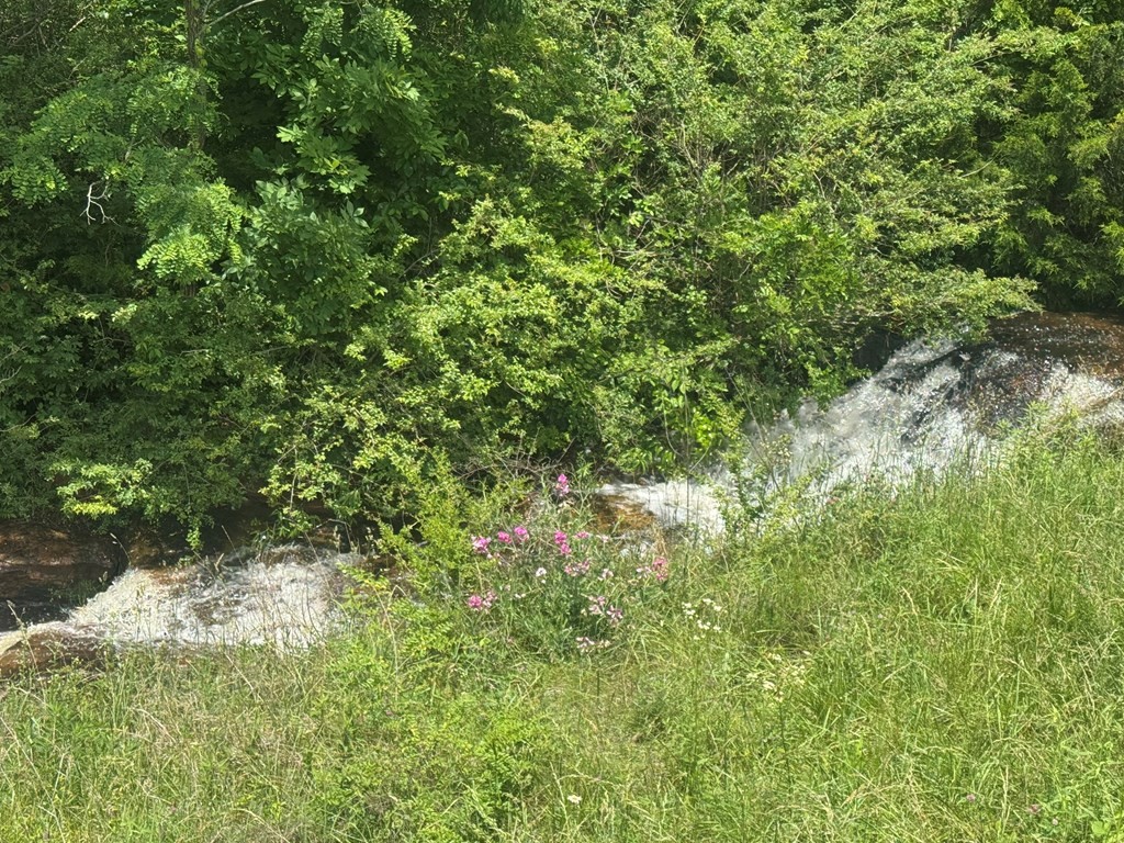 0 Vandy Circle Sparta TN 38583
