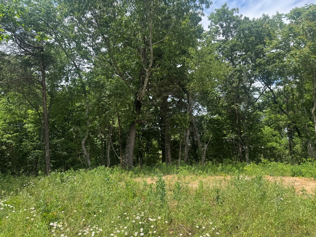 0 Vandy Circle Sparta TN 38583