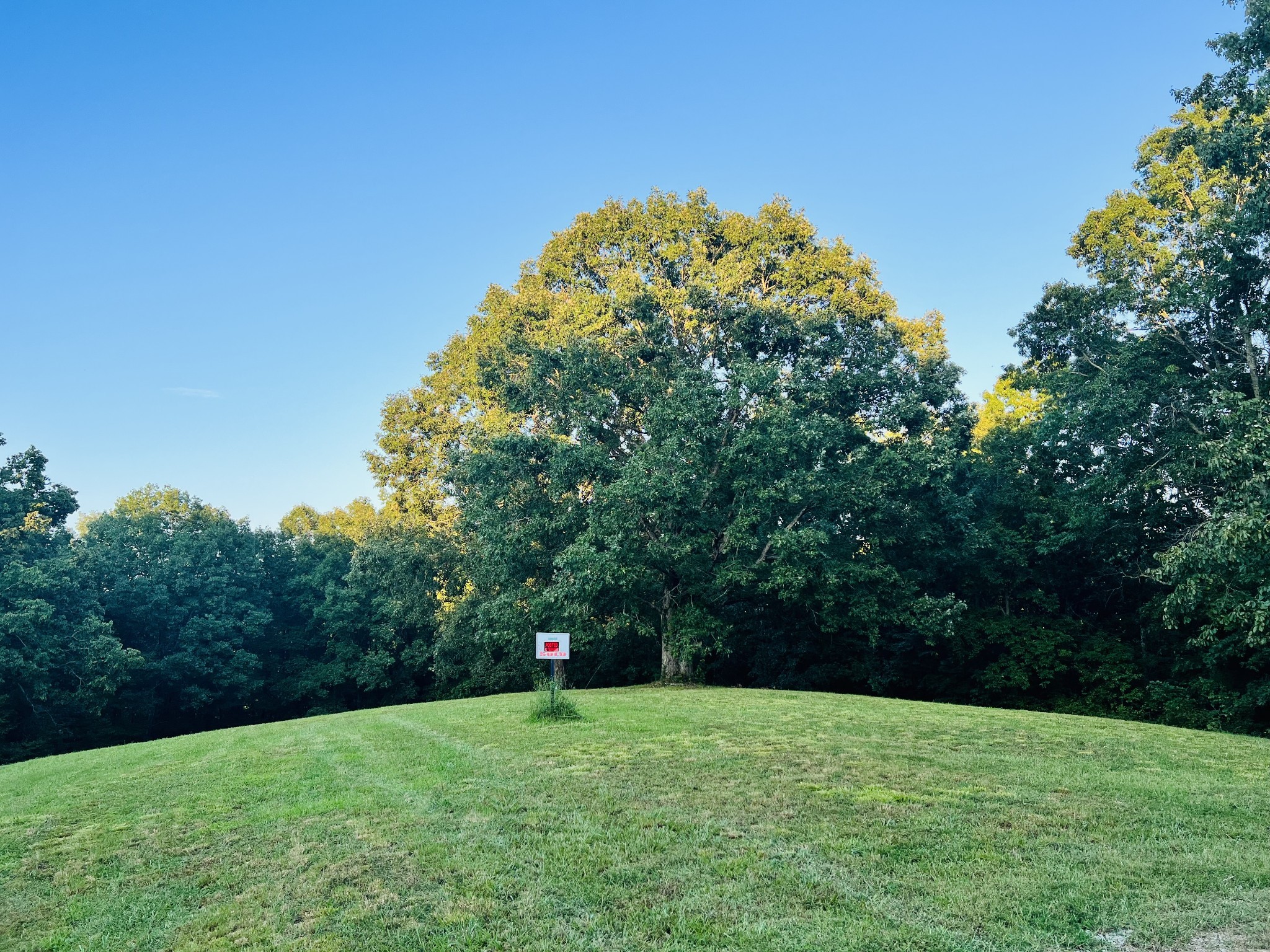 545 Deepwood Drive Waverly TN 37185