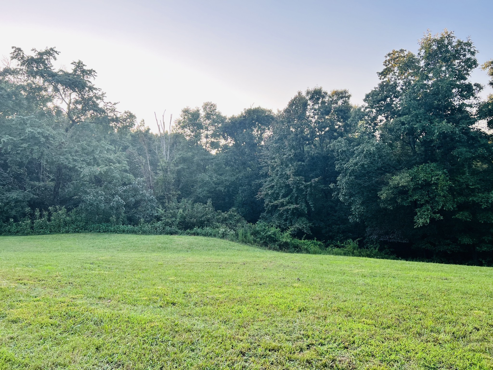 545 Deepwood Drive Waverly TN 37185