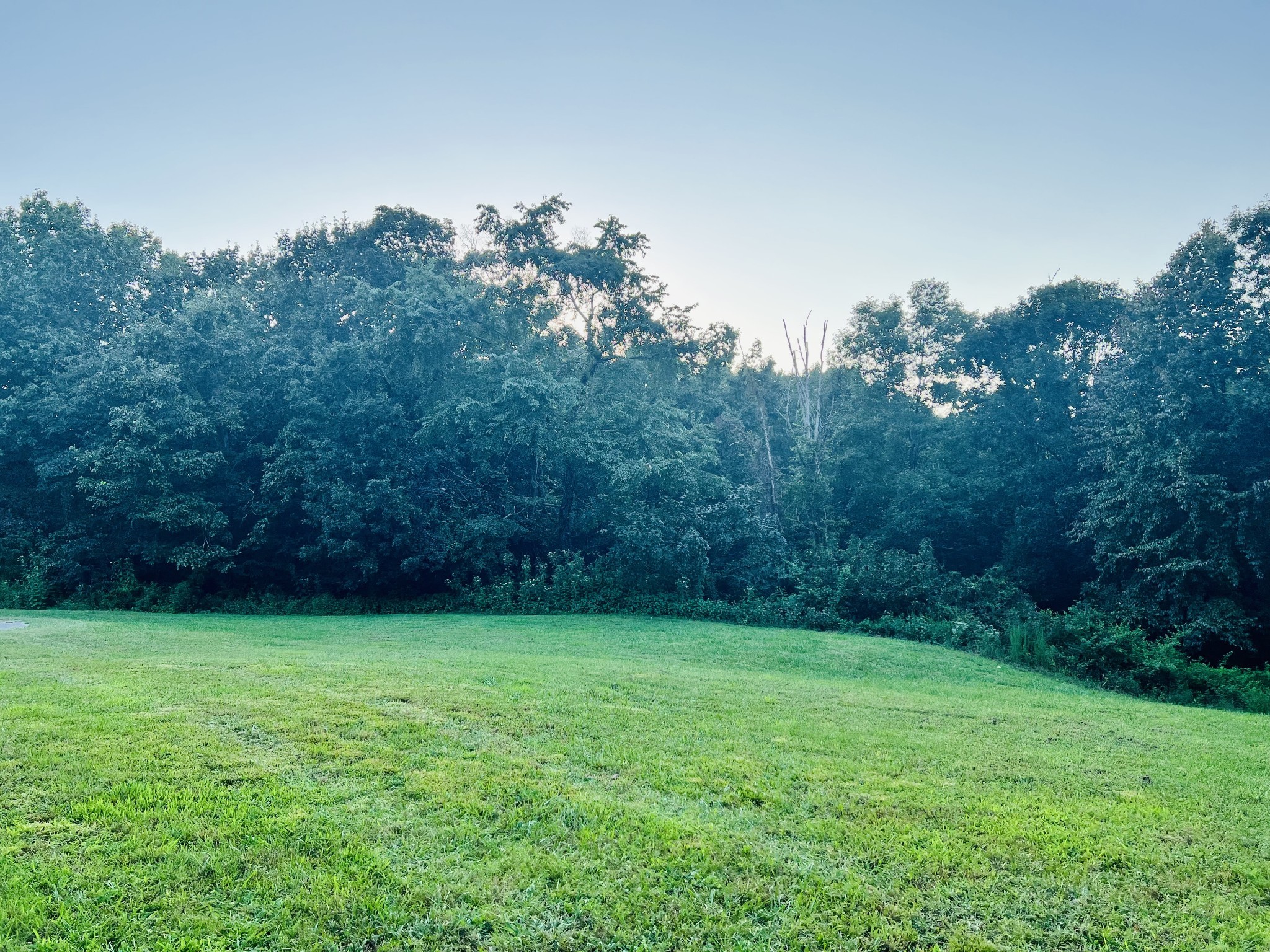 545 Deepwood Drive Waverly TN 37185