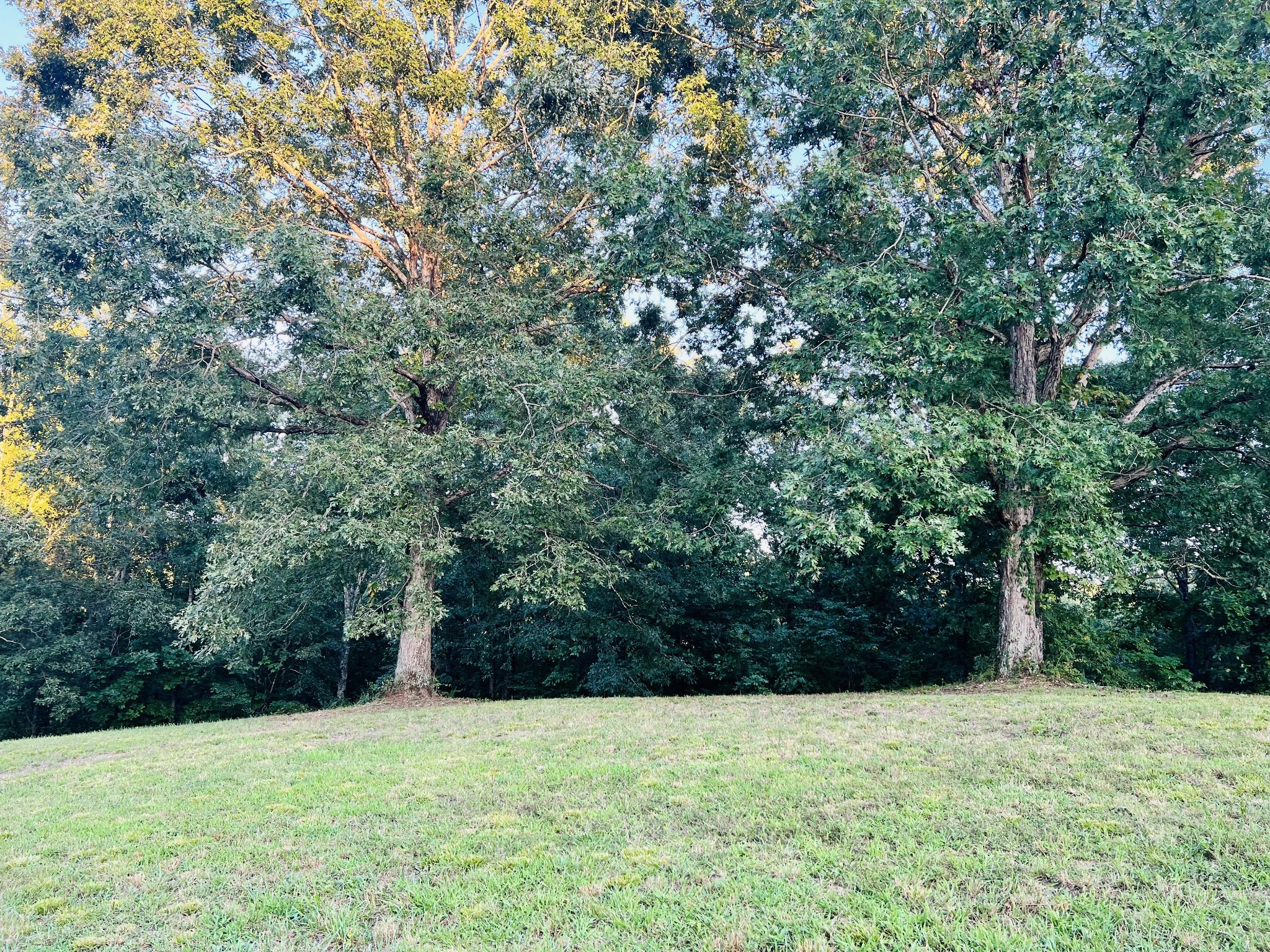 545 Deepwood Drive Waverly TN 37185