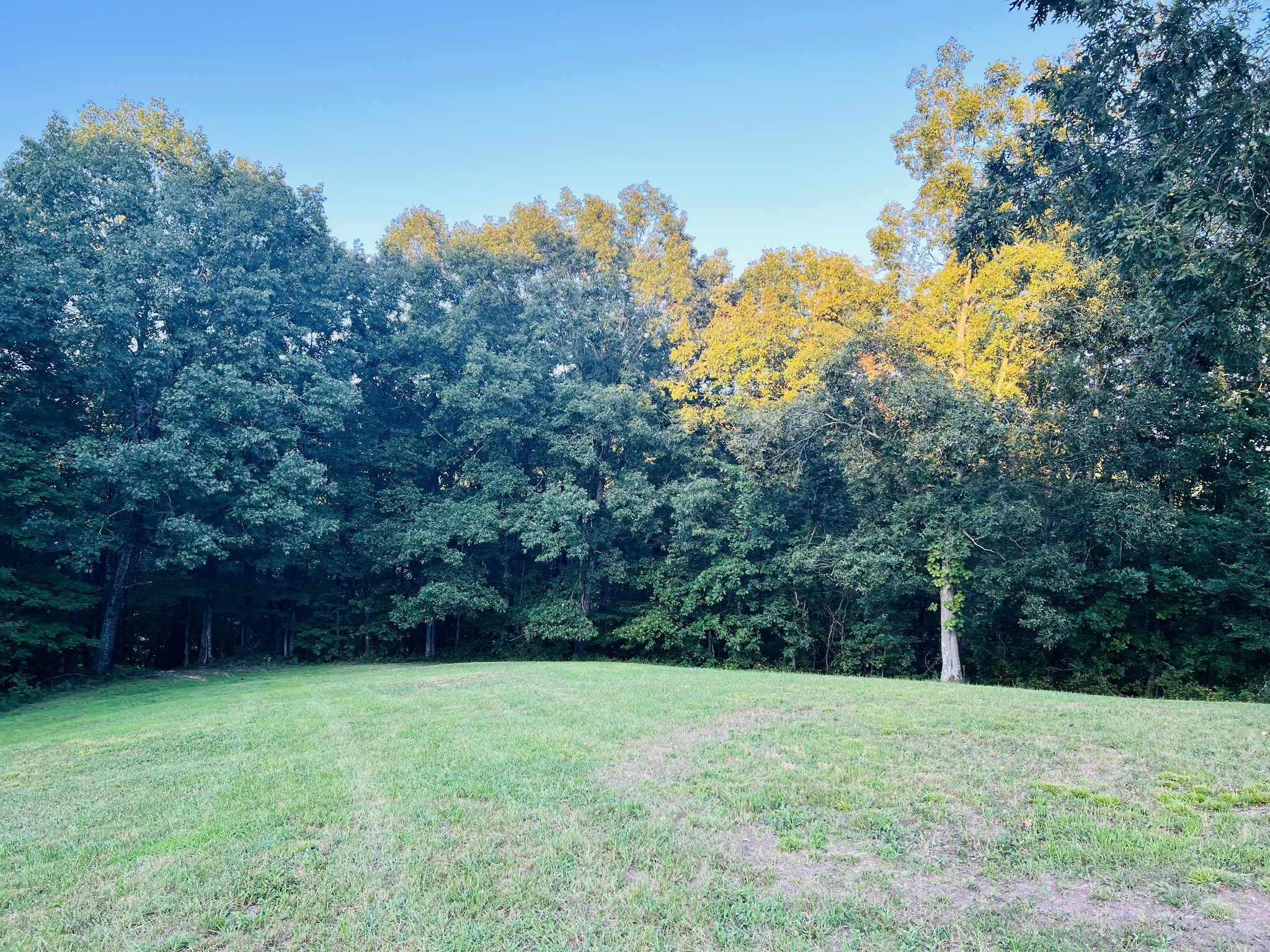 545 Deepwood Drive Waverly TN 37185