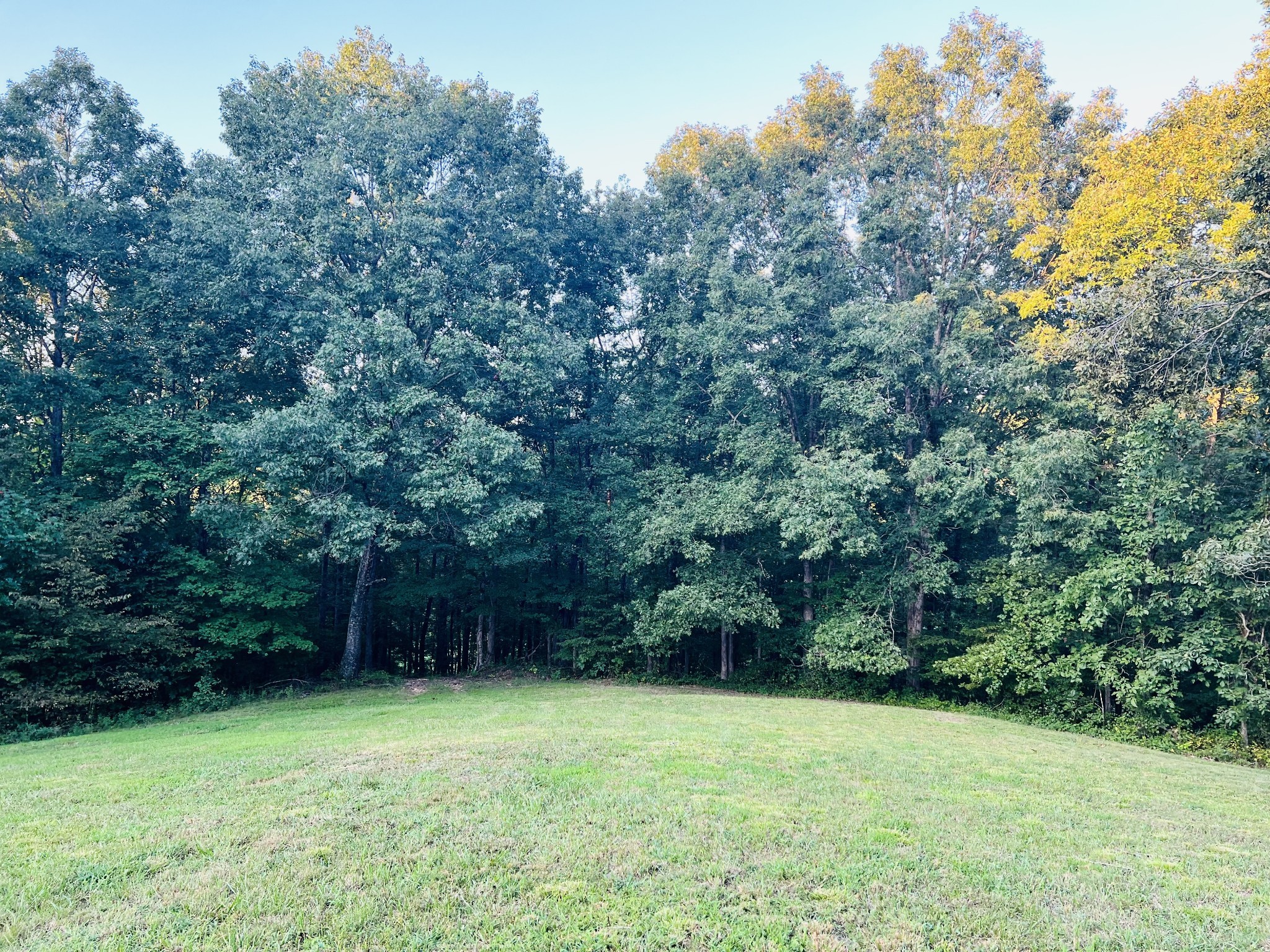 545 Deepwood Drive Waverly TN 37185