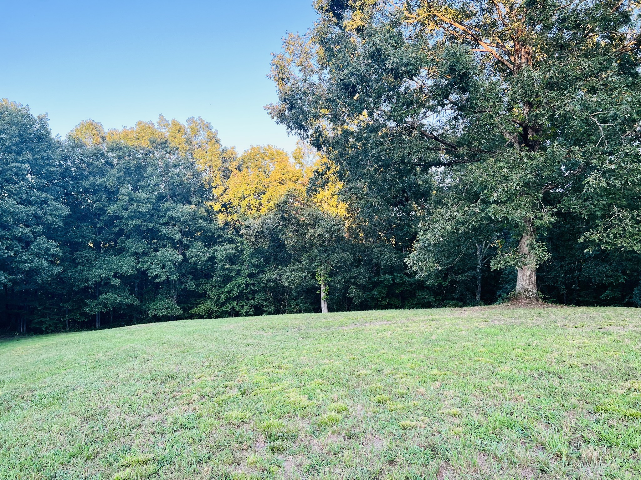 545 Deepwood Drive Waverly TN 37185
