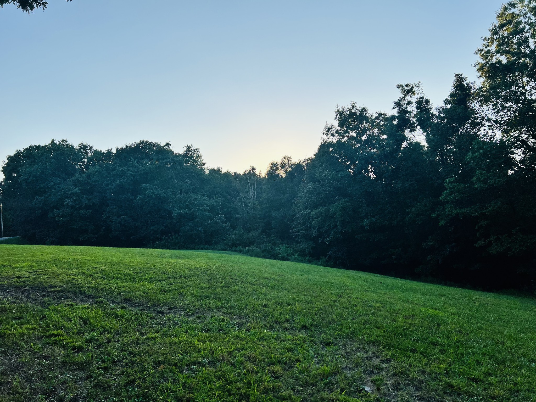 545 Deepwood Drive Waverly TN 37185