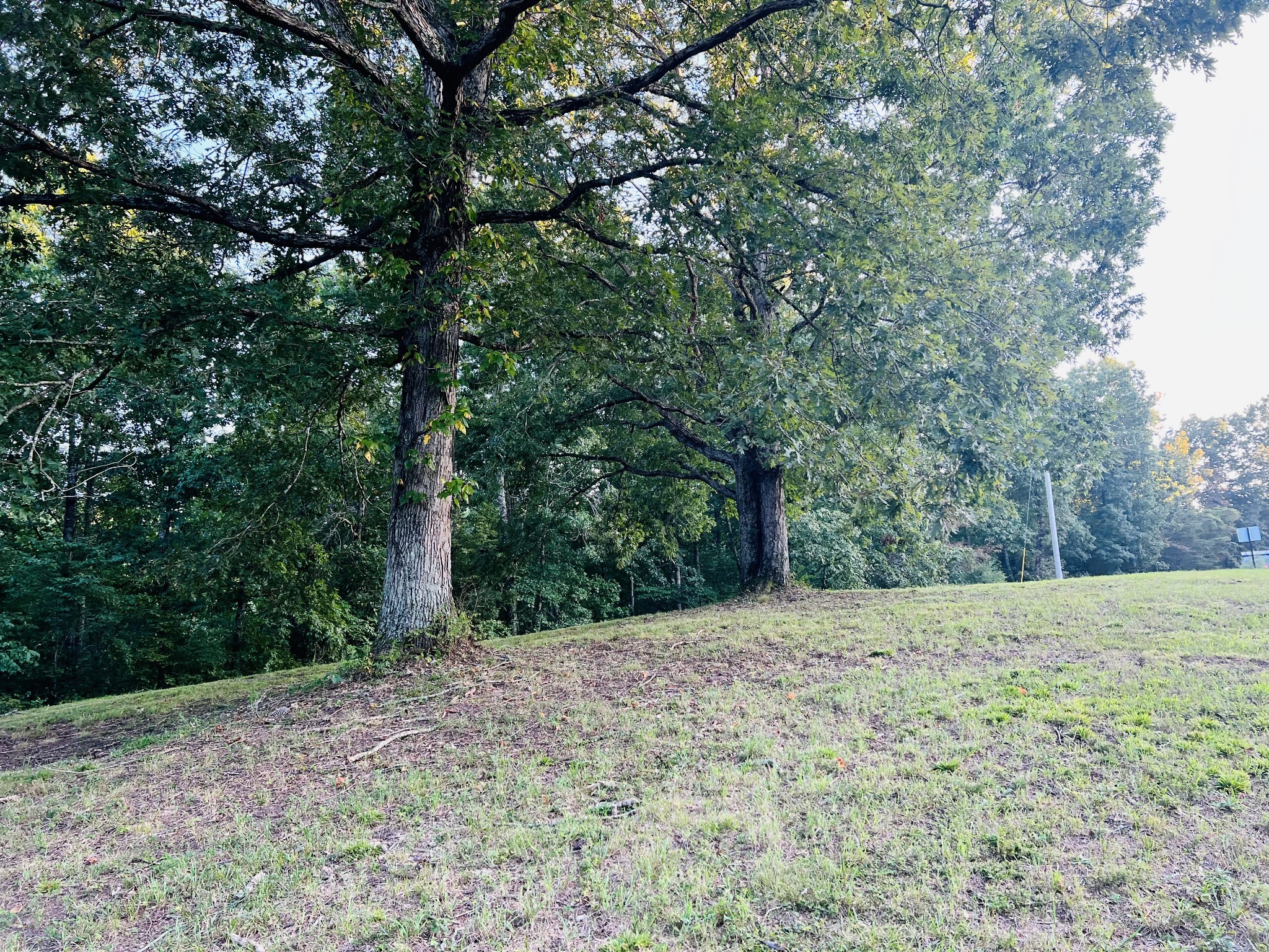 545 Deepwood Drive Waverly TN 37185