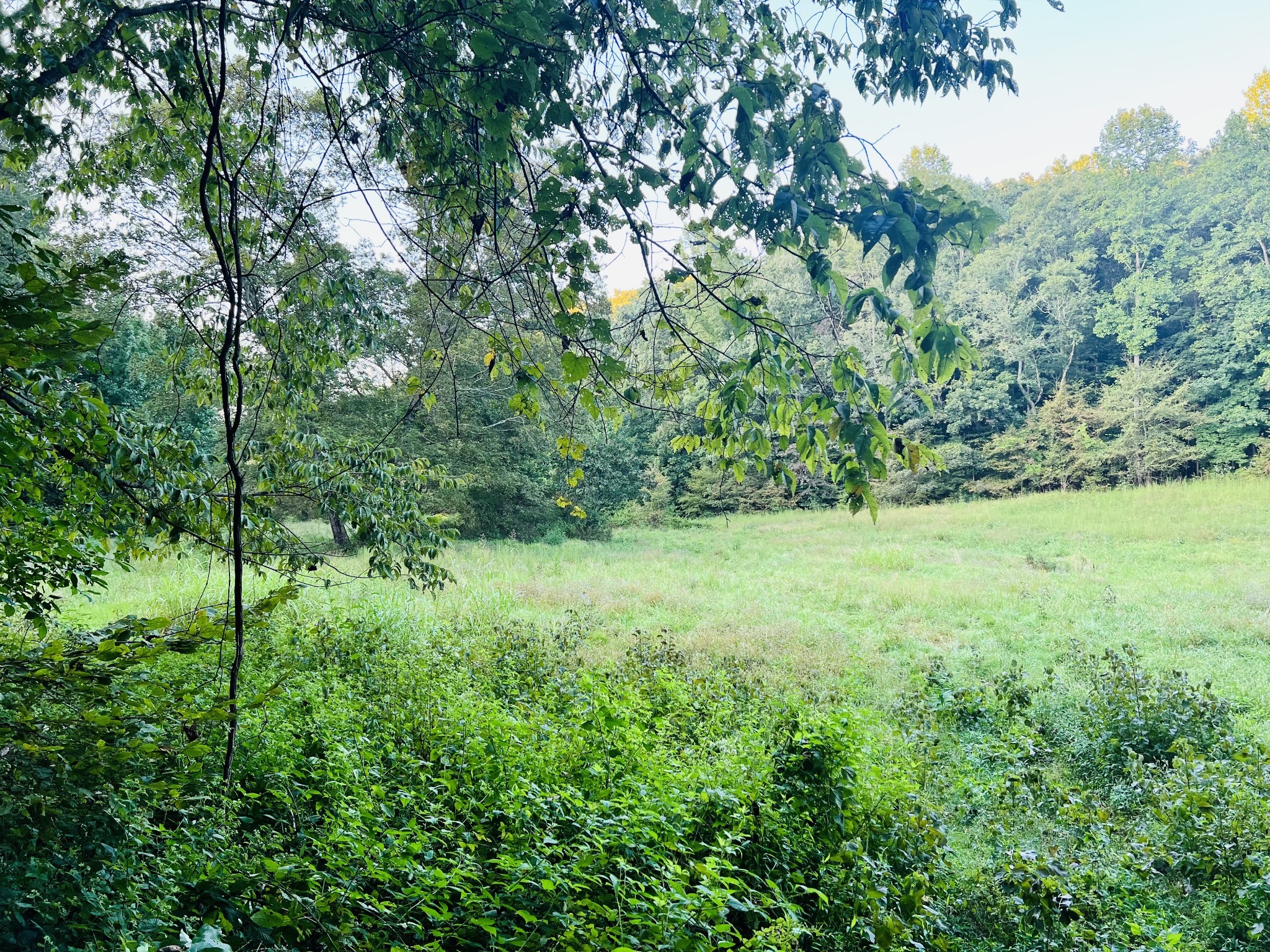 545 Deepwood Drive Waverly TN 37185