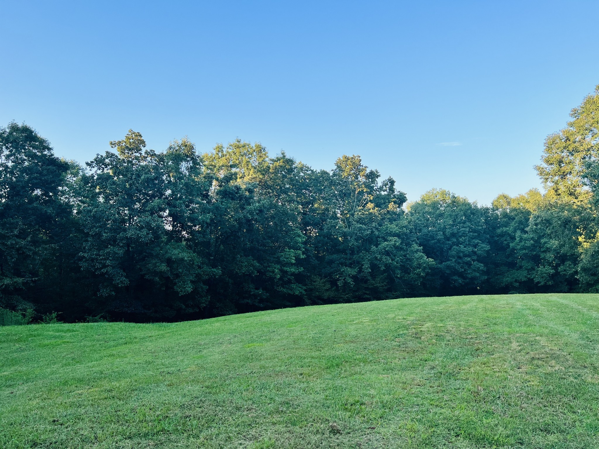545 Deepwood Drive Waverly TN 37185
