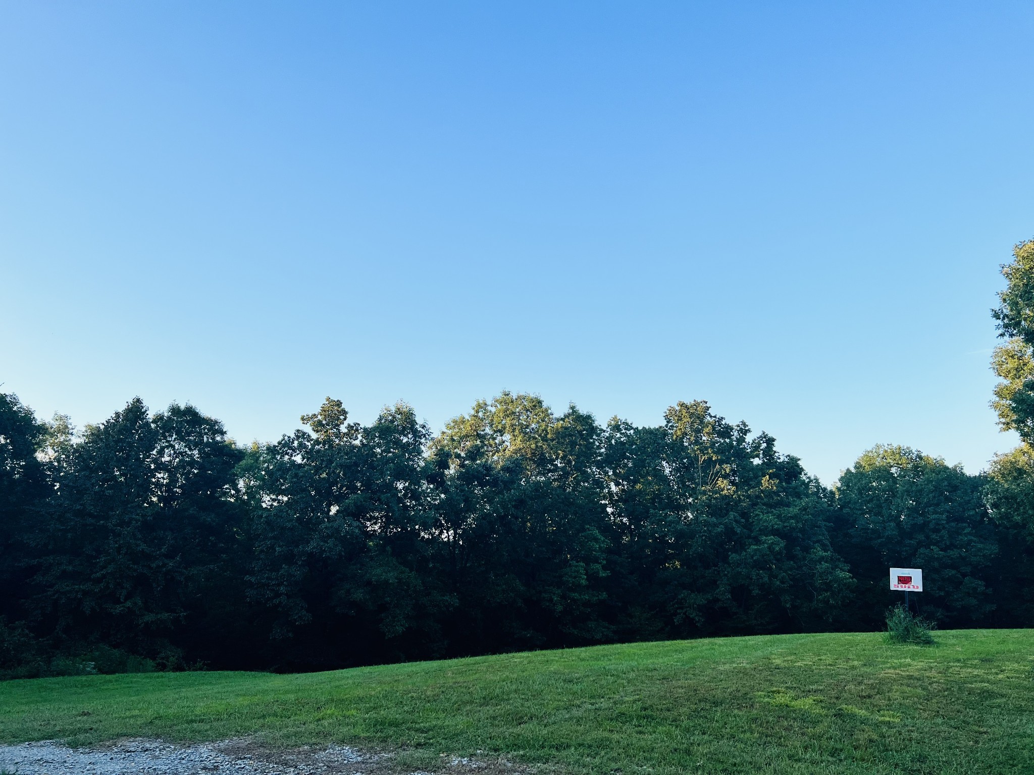 545 Deepwood Drive Waverly TN 37185