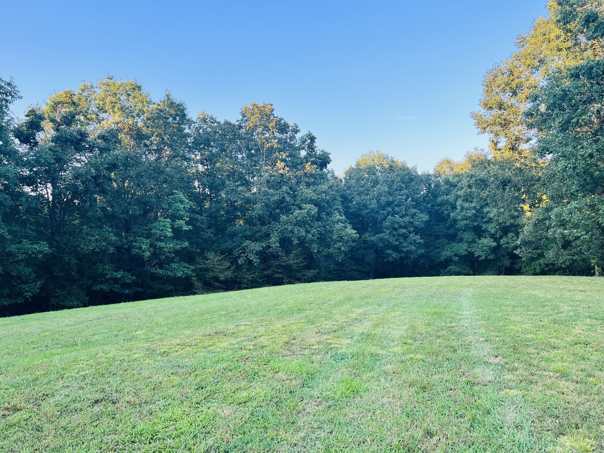 545 Deepwood Drive Waverly TN 37185