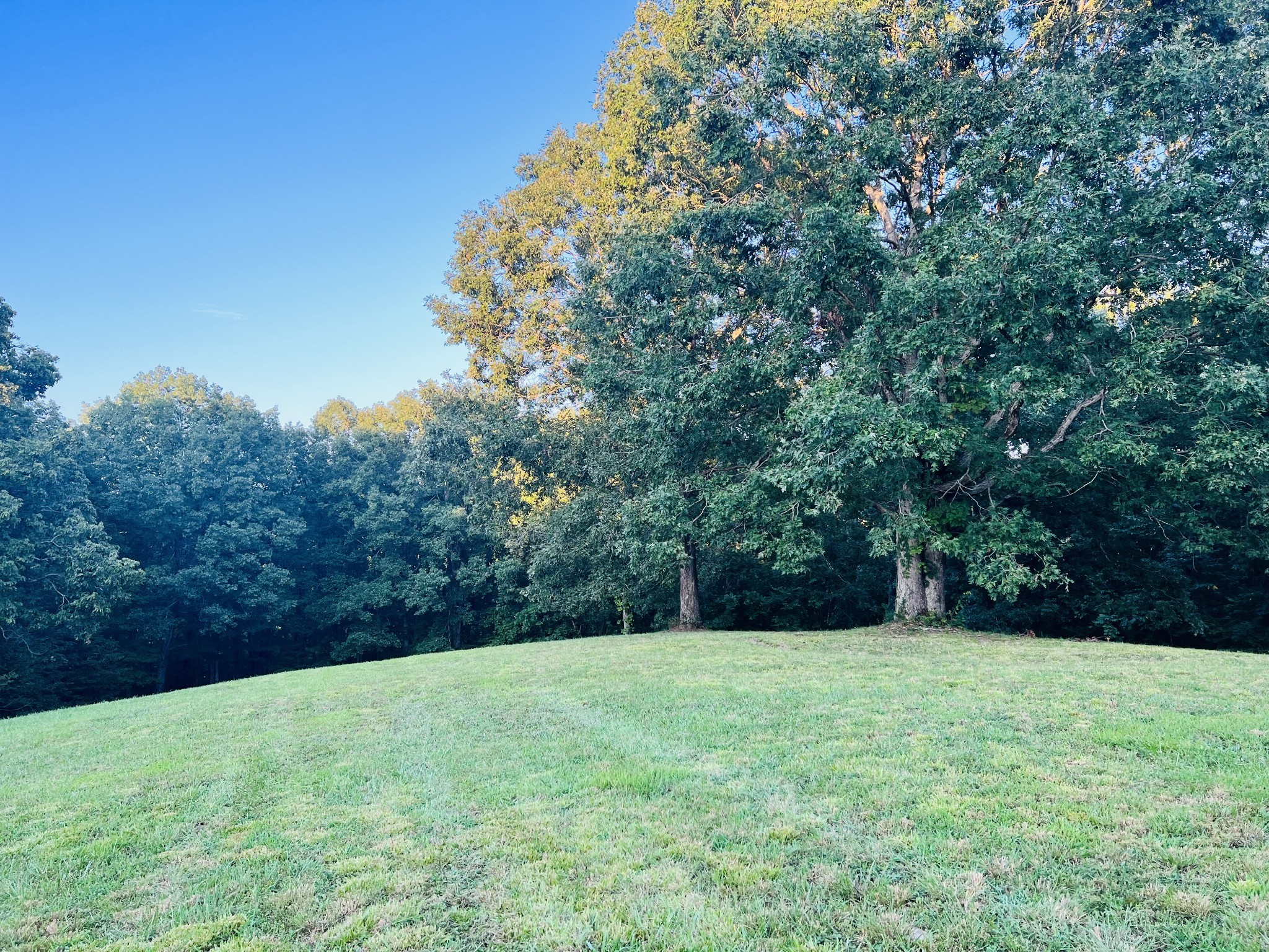545 Deepwood Drive Waverly TN 37185