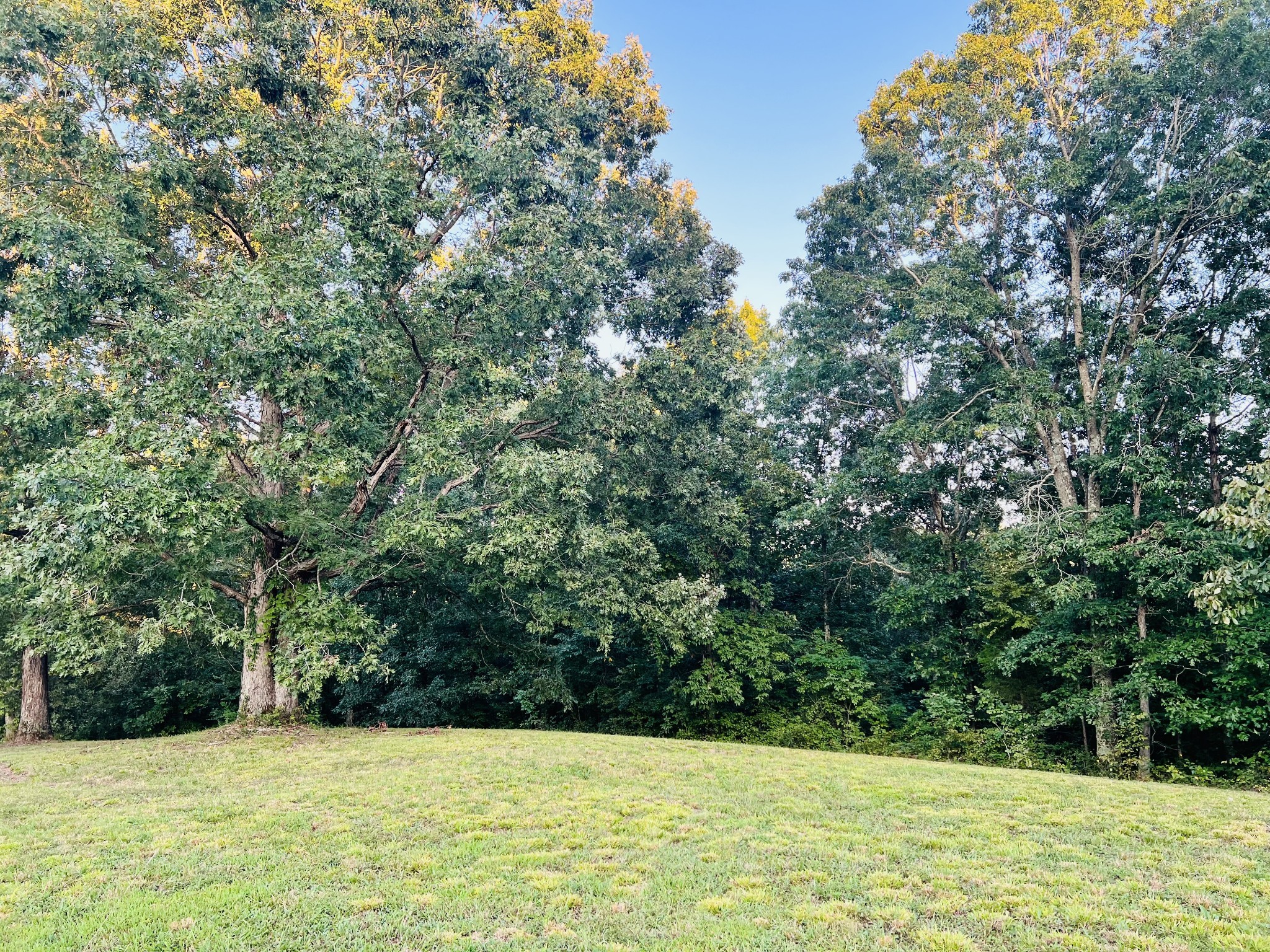 545 Deepwood Drive Waverly TN 37185