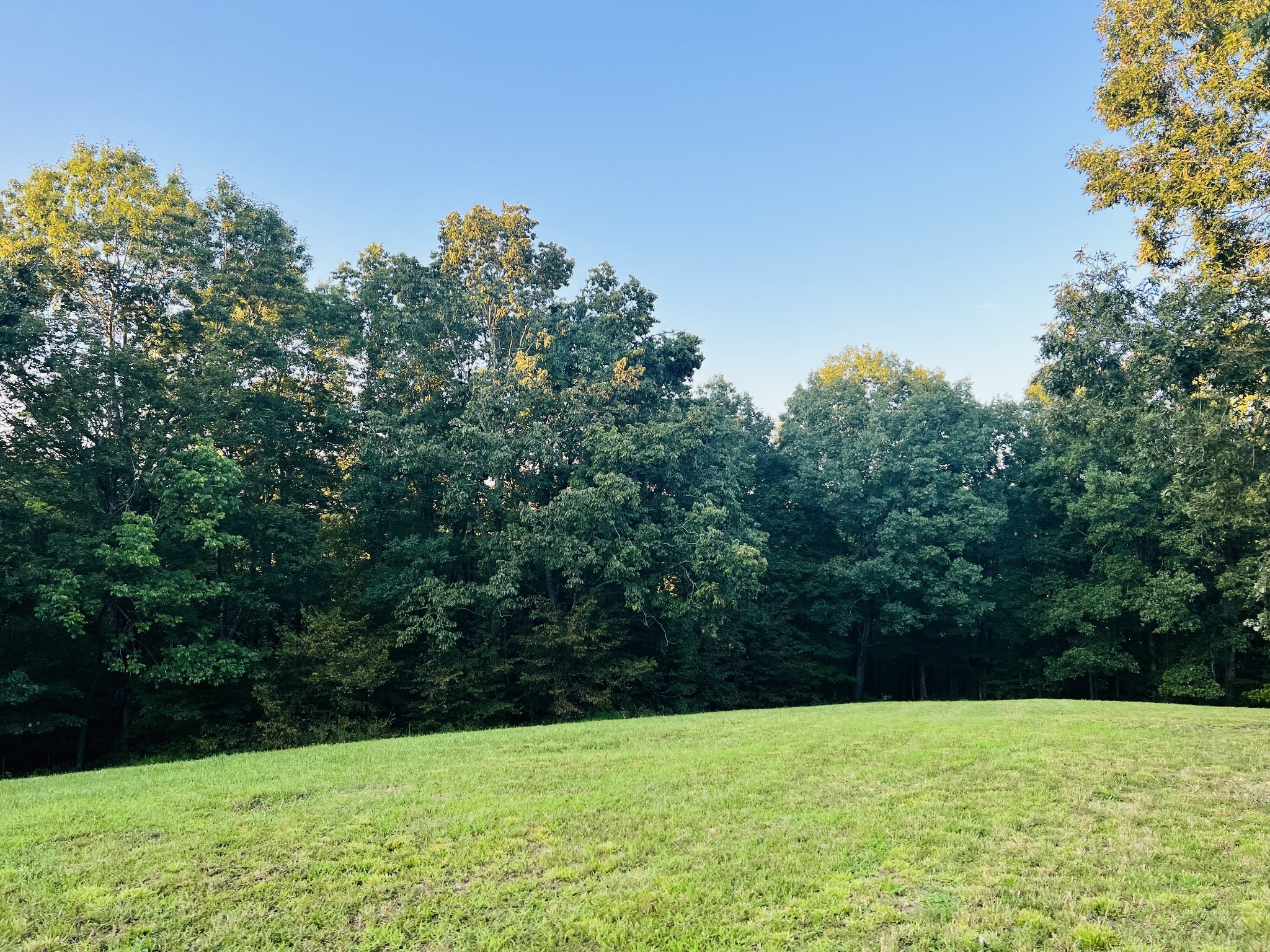 545 Deepwood Drive Waverly TN 37185
