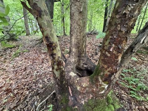 0A Upperstanding Rock Road Dover TN 37058