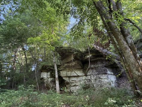 0A Upperstanding Rock Road Dover TN 37058