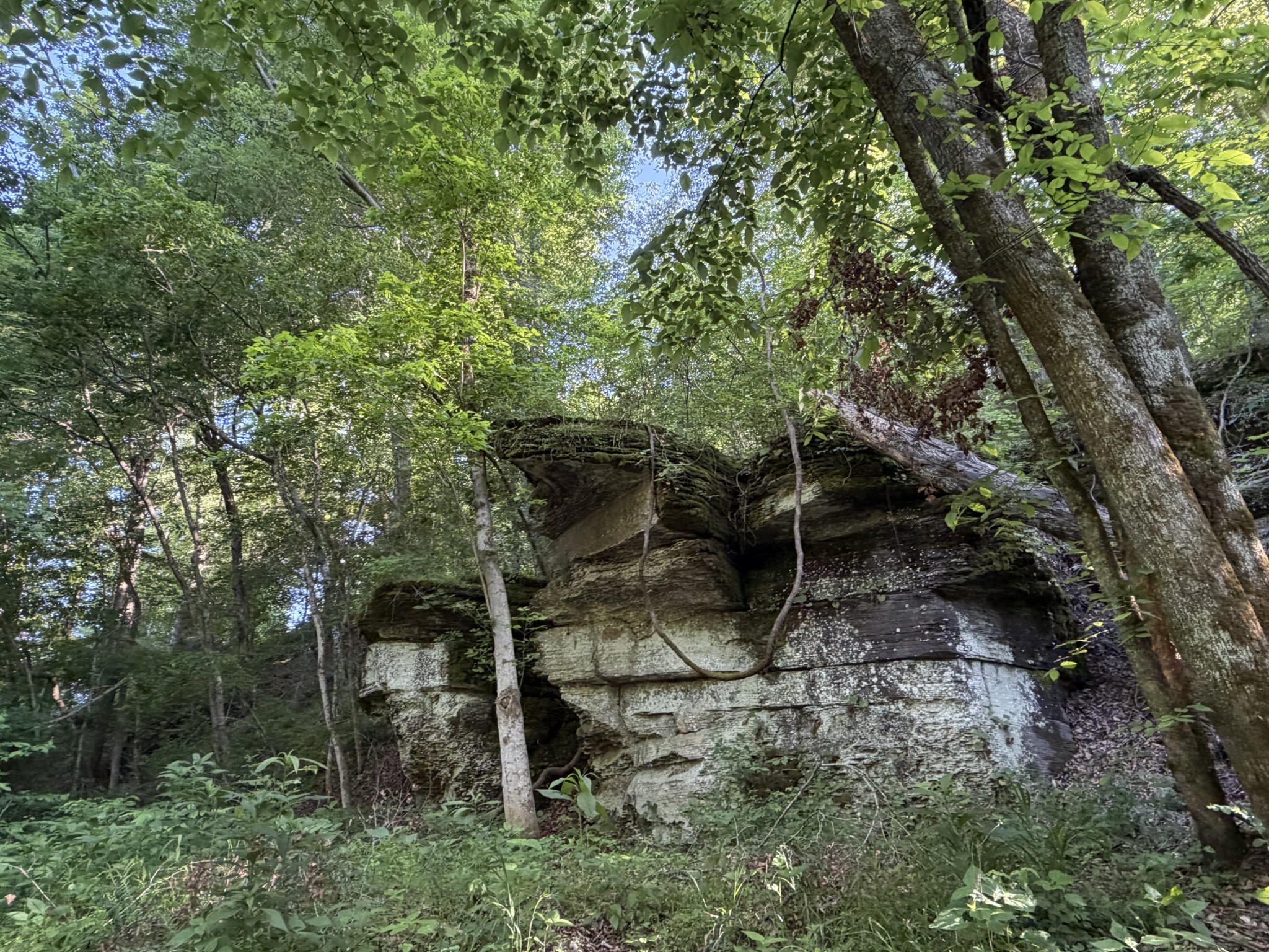 0A Upperstanding Rock Road Dover TN 37058