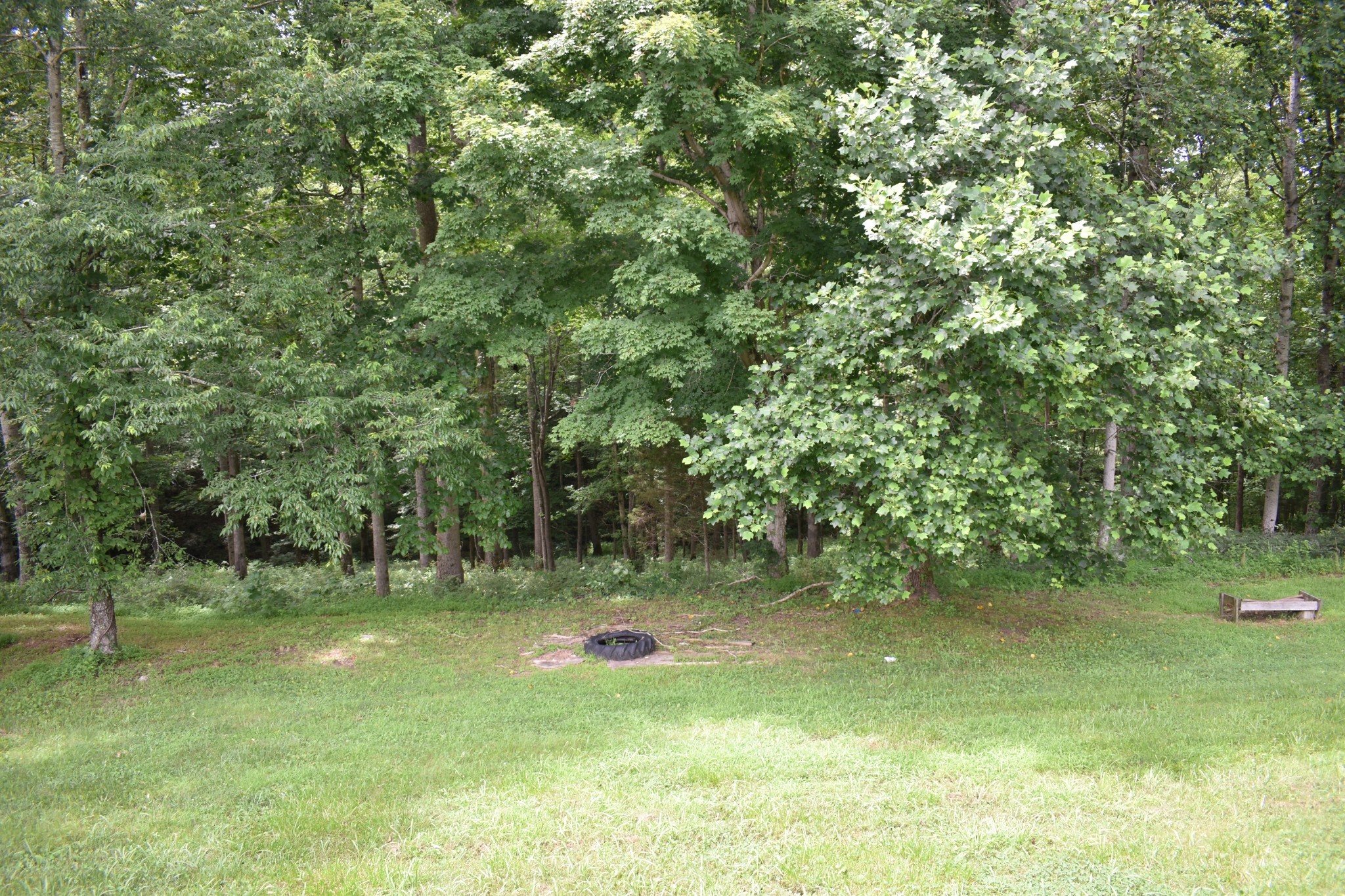 1423 Pack Road White Bluff TN 37187