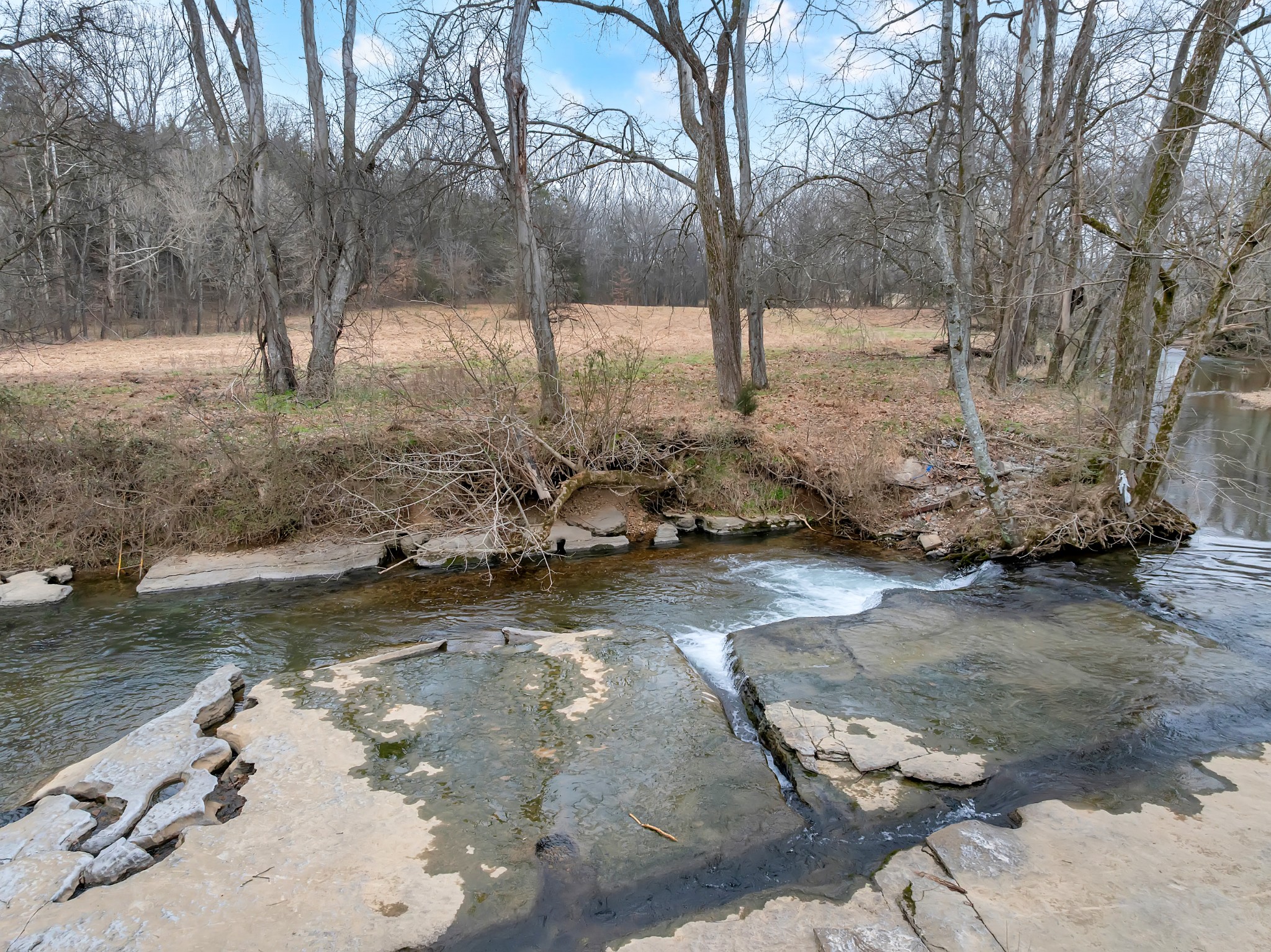 0 Clyde Gleaves Road Wartrace TN 37183