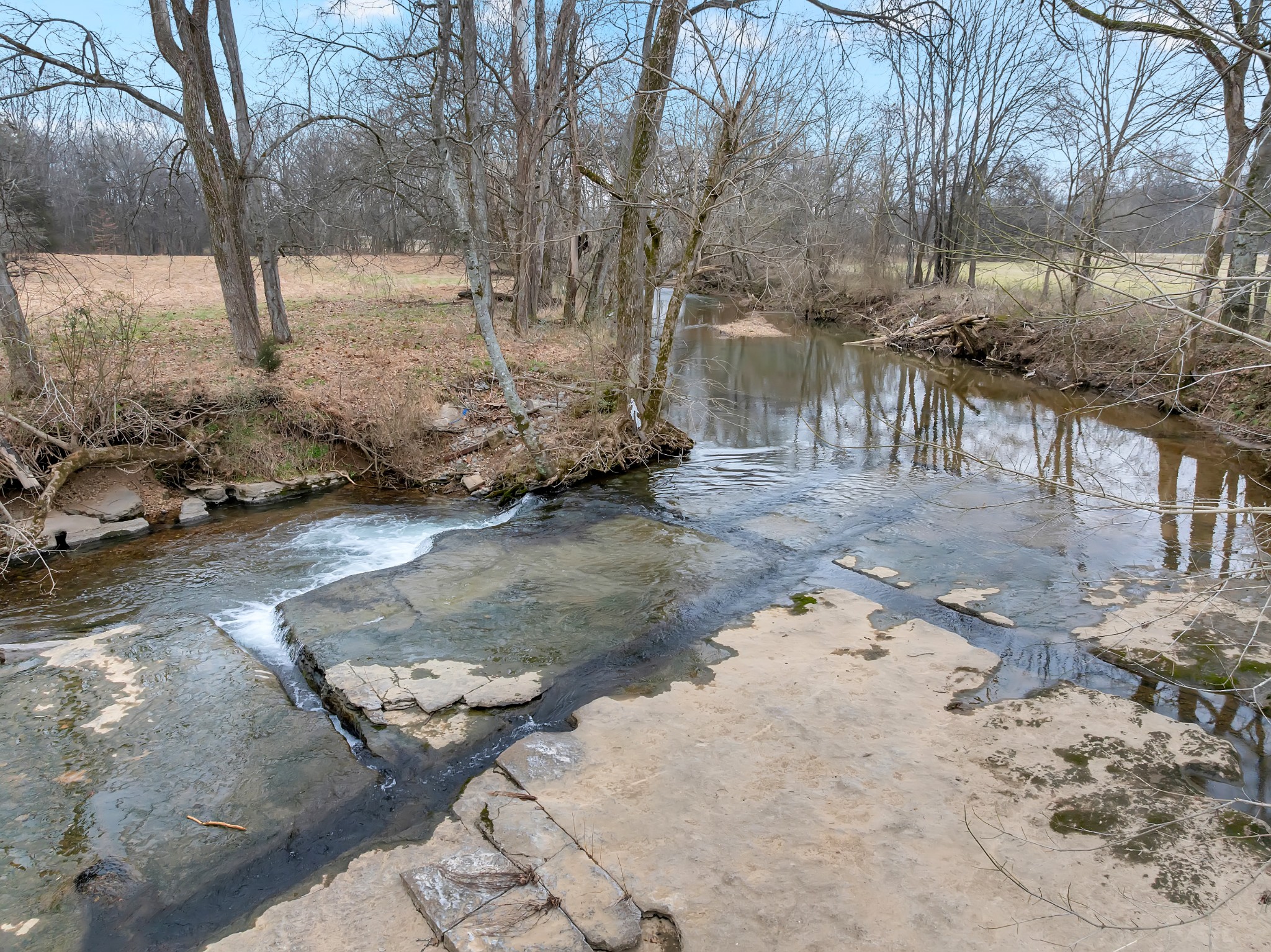 0 Clyde Gleaves Road Wartrace TN 37183