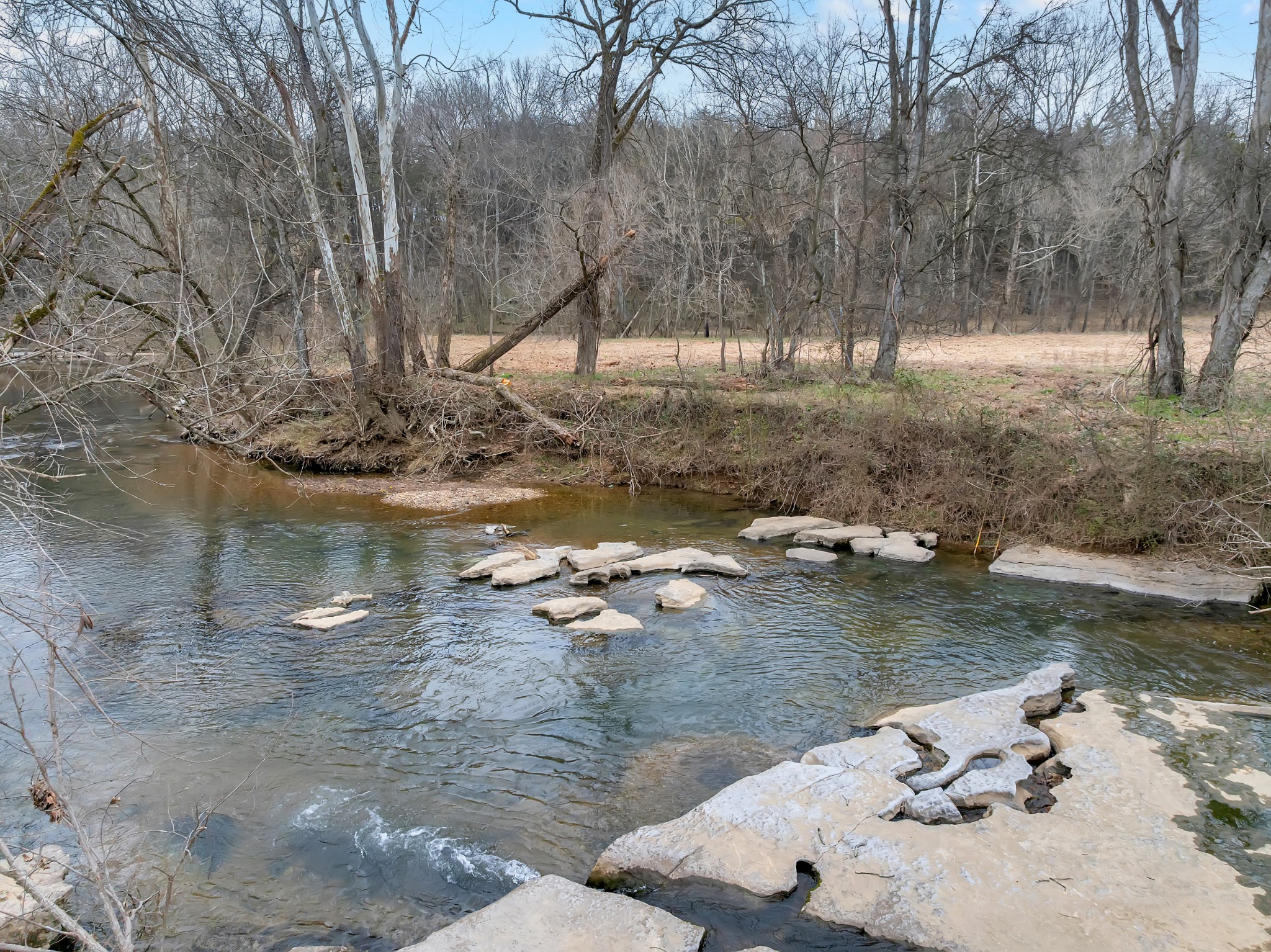 0 Clyde Gleaves Road Wartrace TN 37183