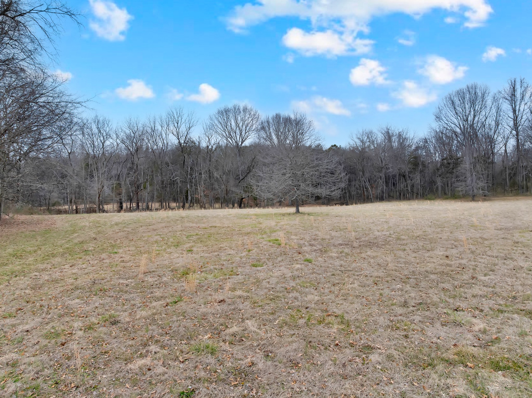 0 Clyde Gleaves Road Wartrace TN 37183
