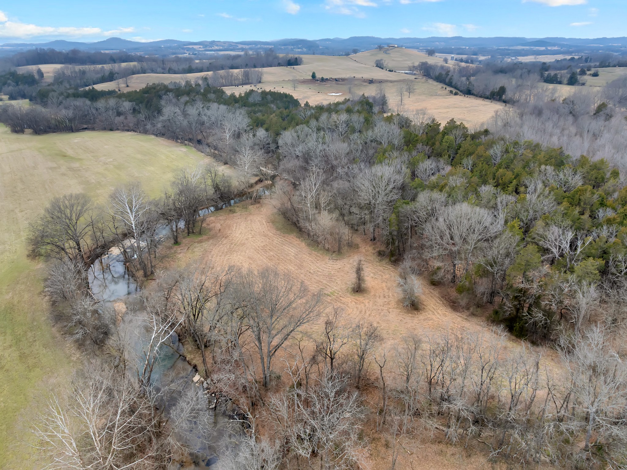 0 Clyde Gleaves Road Wartrace TN 37183