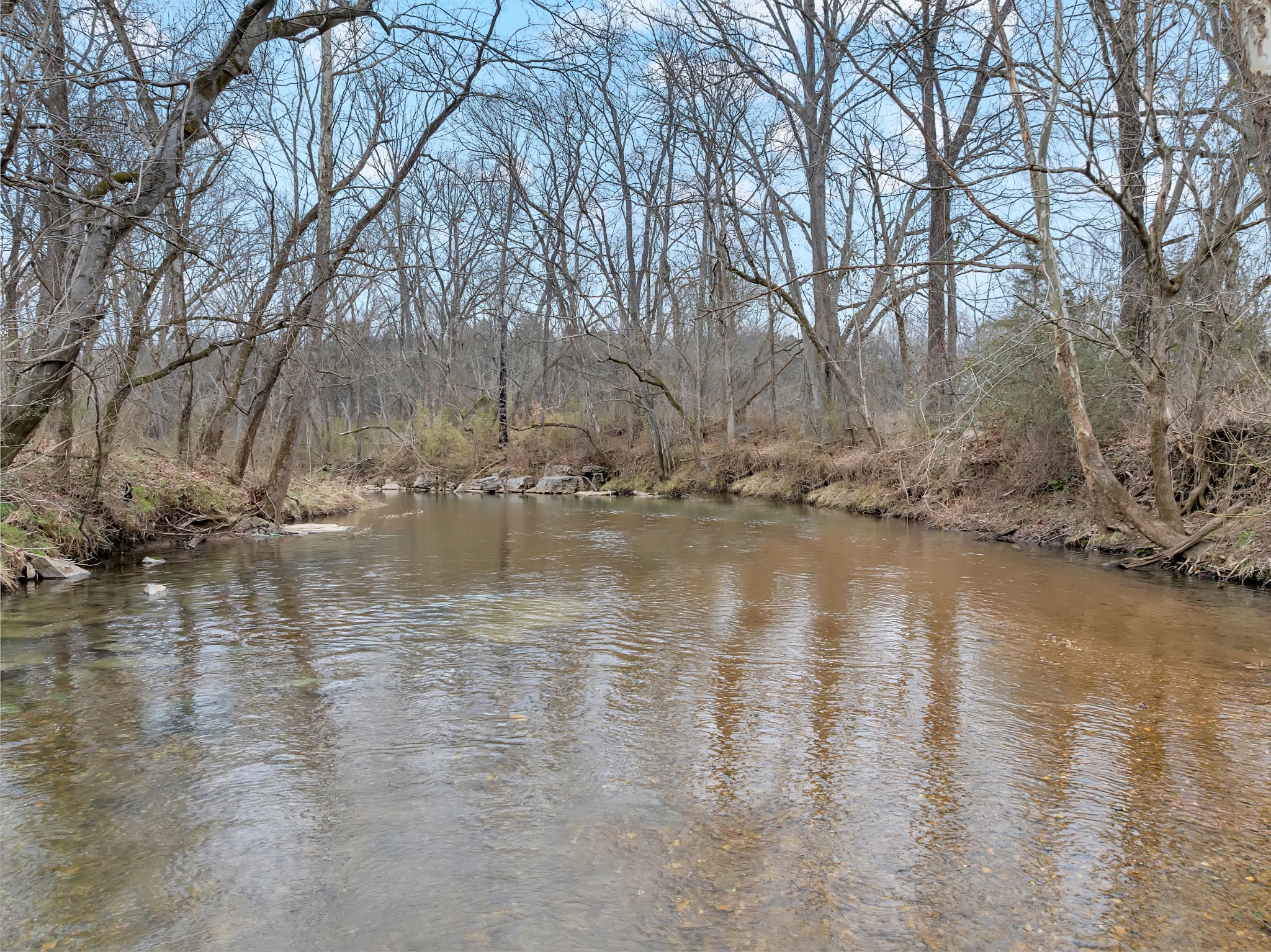 0 Clyde Gleaves Road Wartrace TN 37183