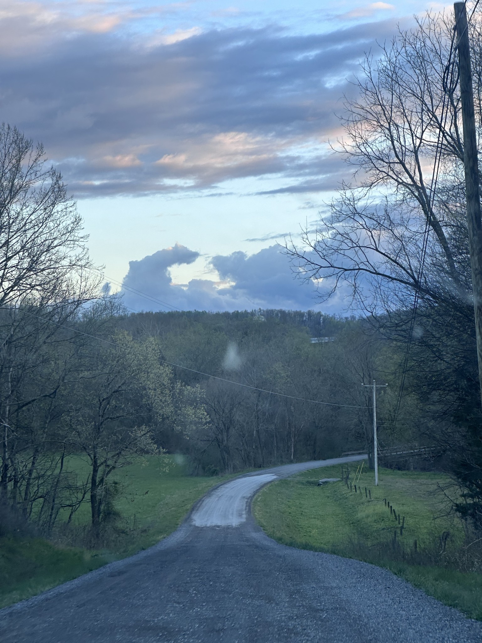 0 Clyde Gleaves Road Wartrace TN 37183