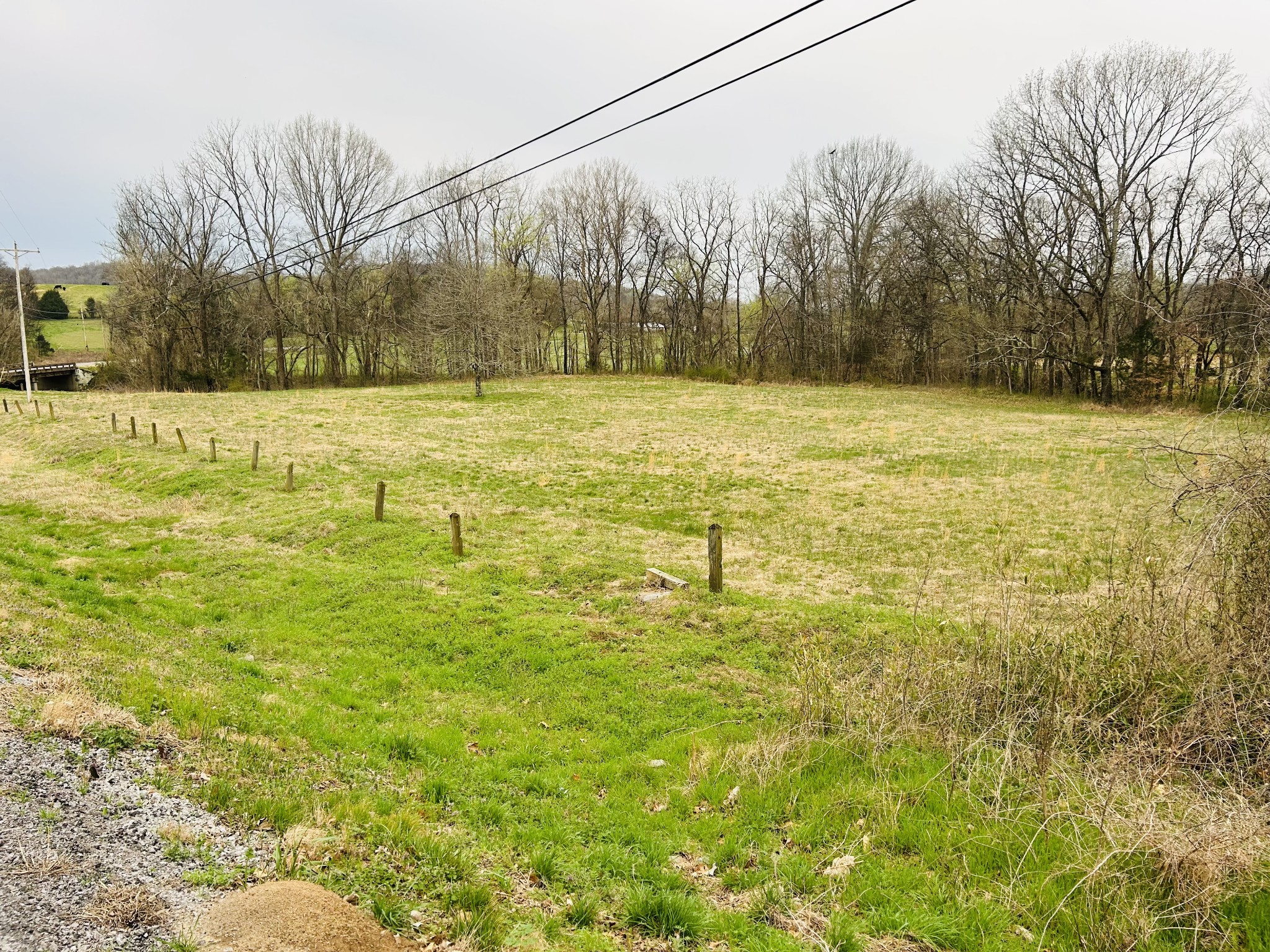 0 Clyde Gleaves Road Wartrace TN 37183