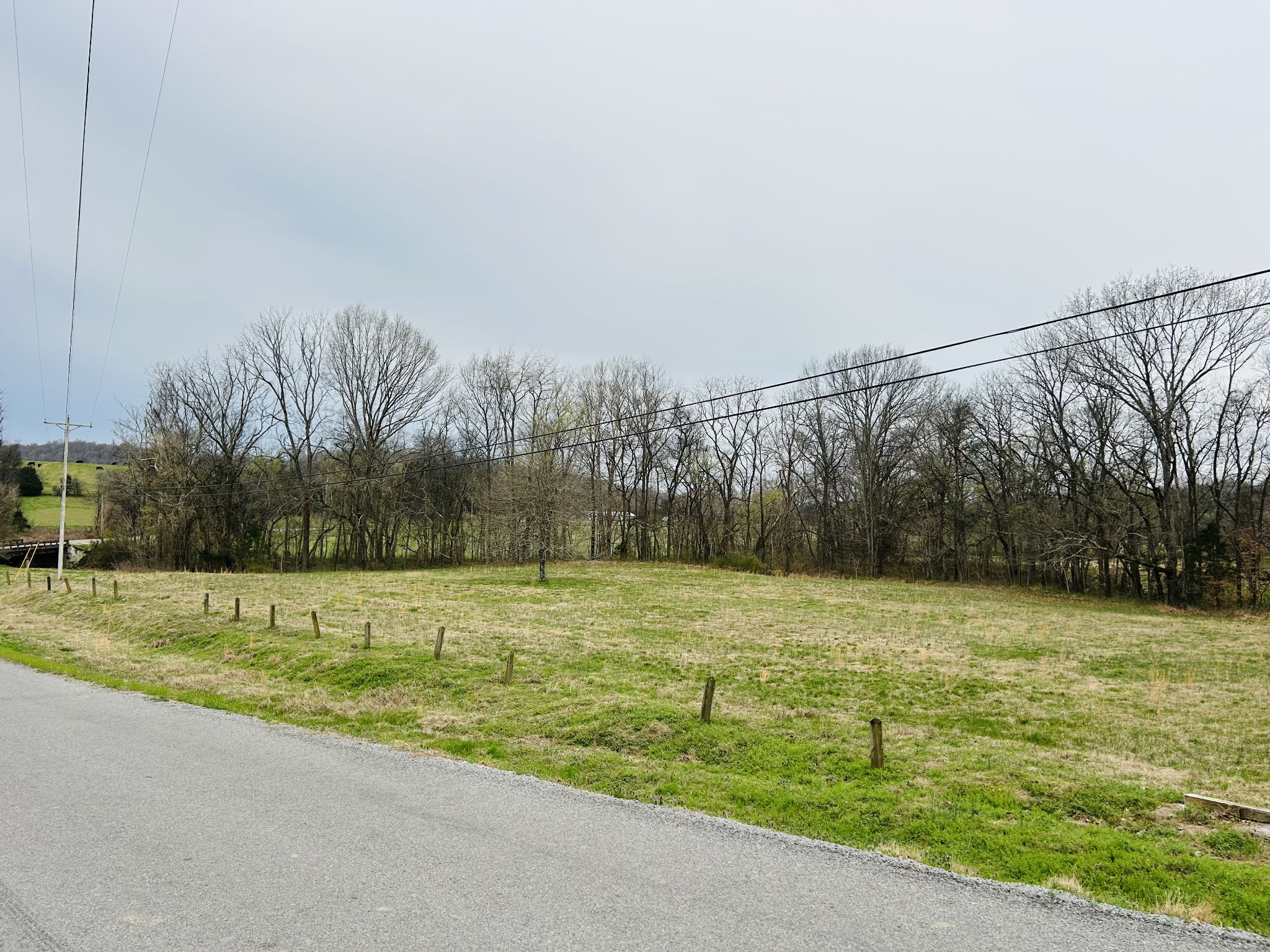 0 Clyde Gleaves Road Wartrace TN 37183