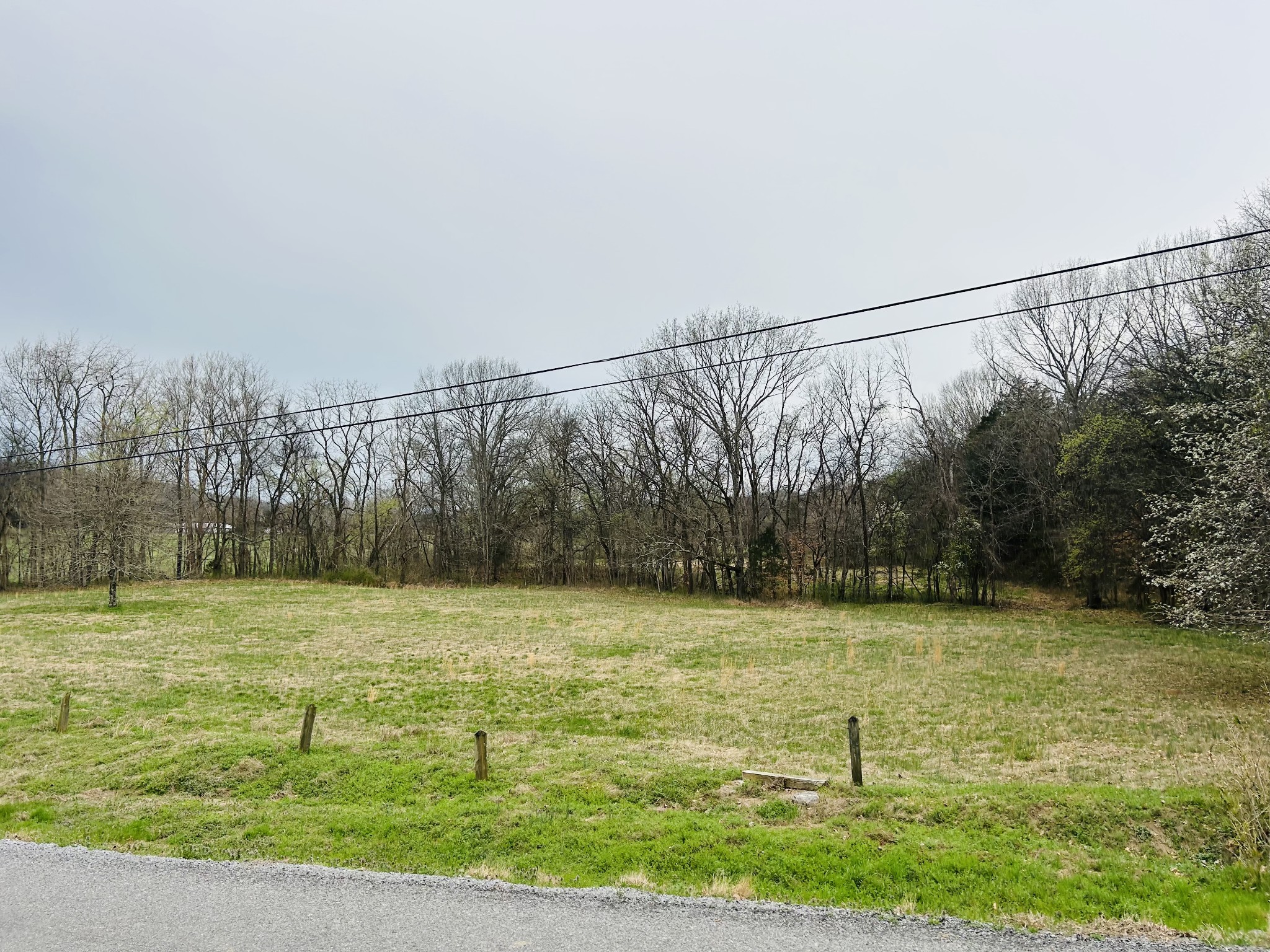 0 Clyde Gleaves Road Wartrace TN 37183