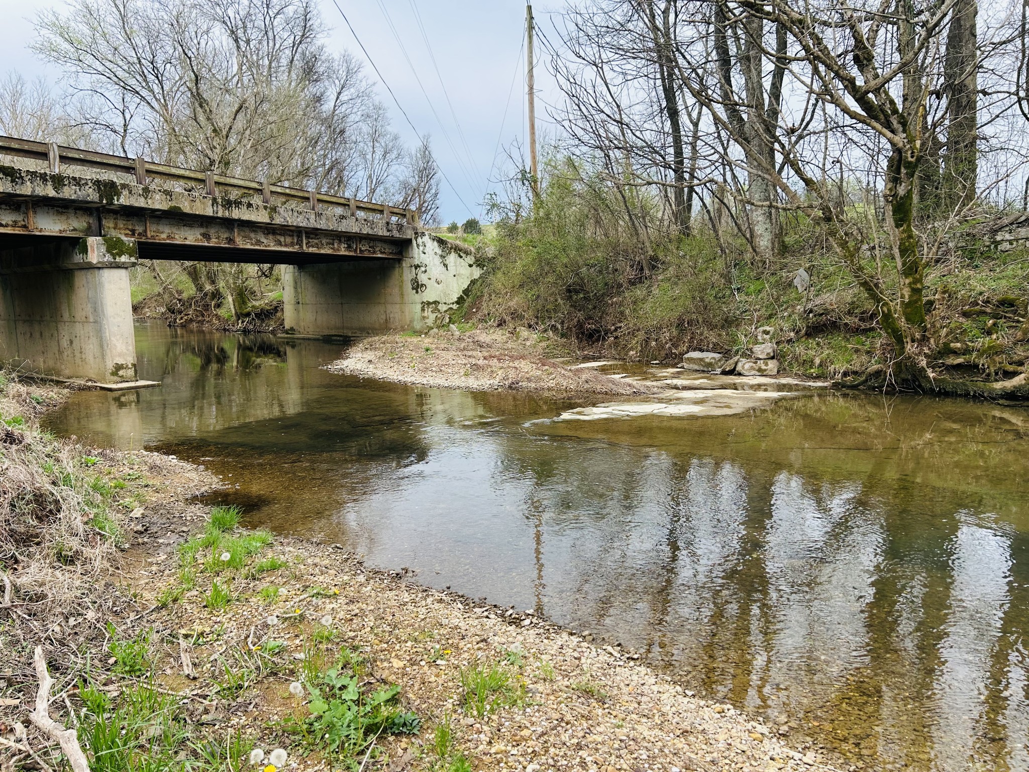 0 Clyde Gleaves Road Wartrace TN 37183