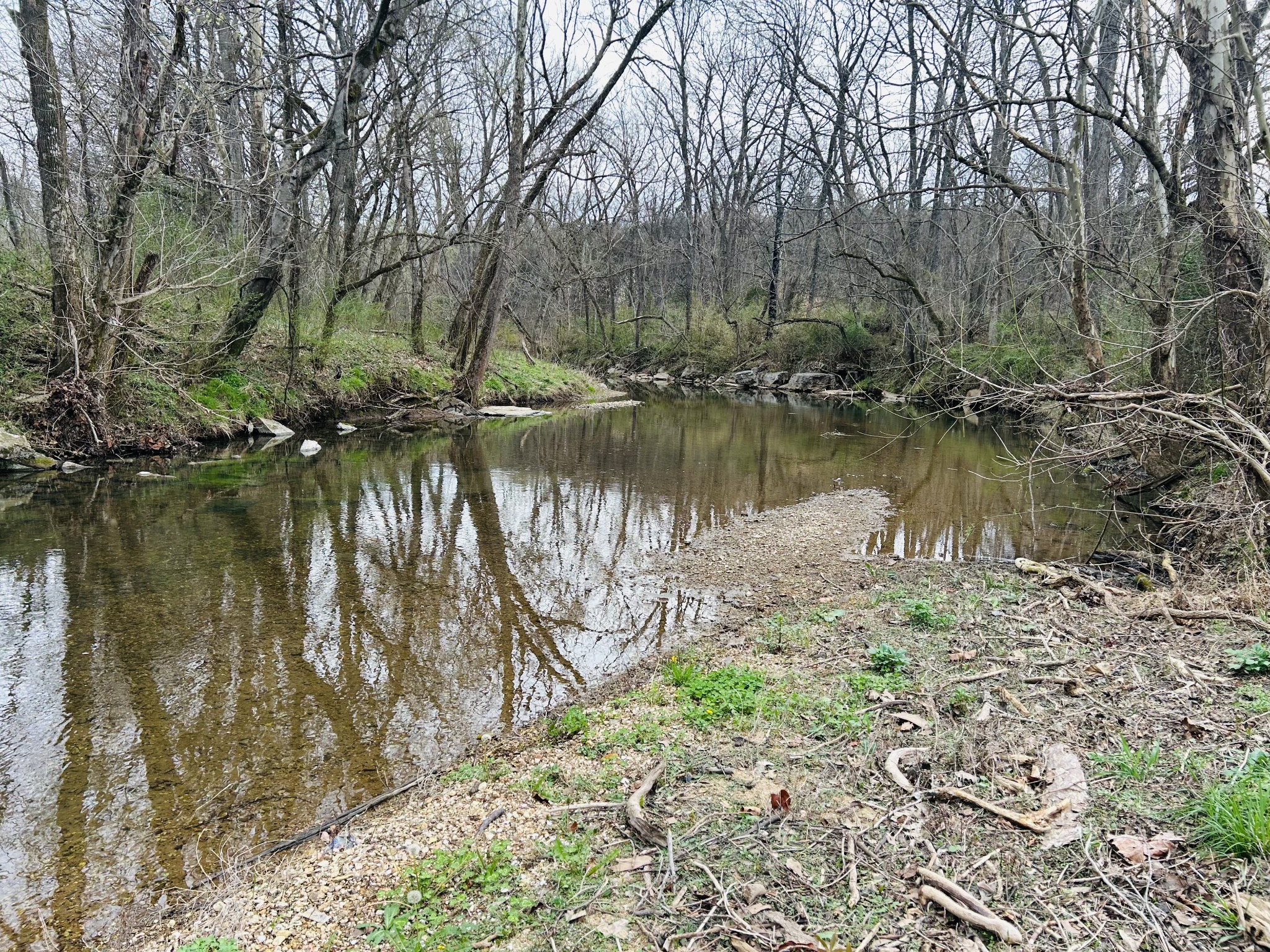0 Clyde Gleaves Road Wartrace TN 37183