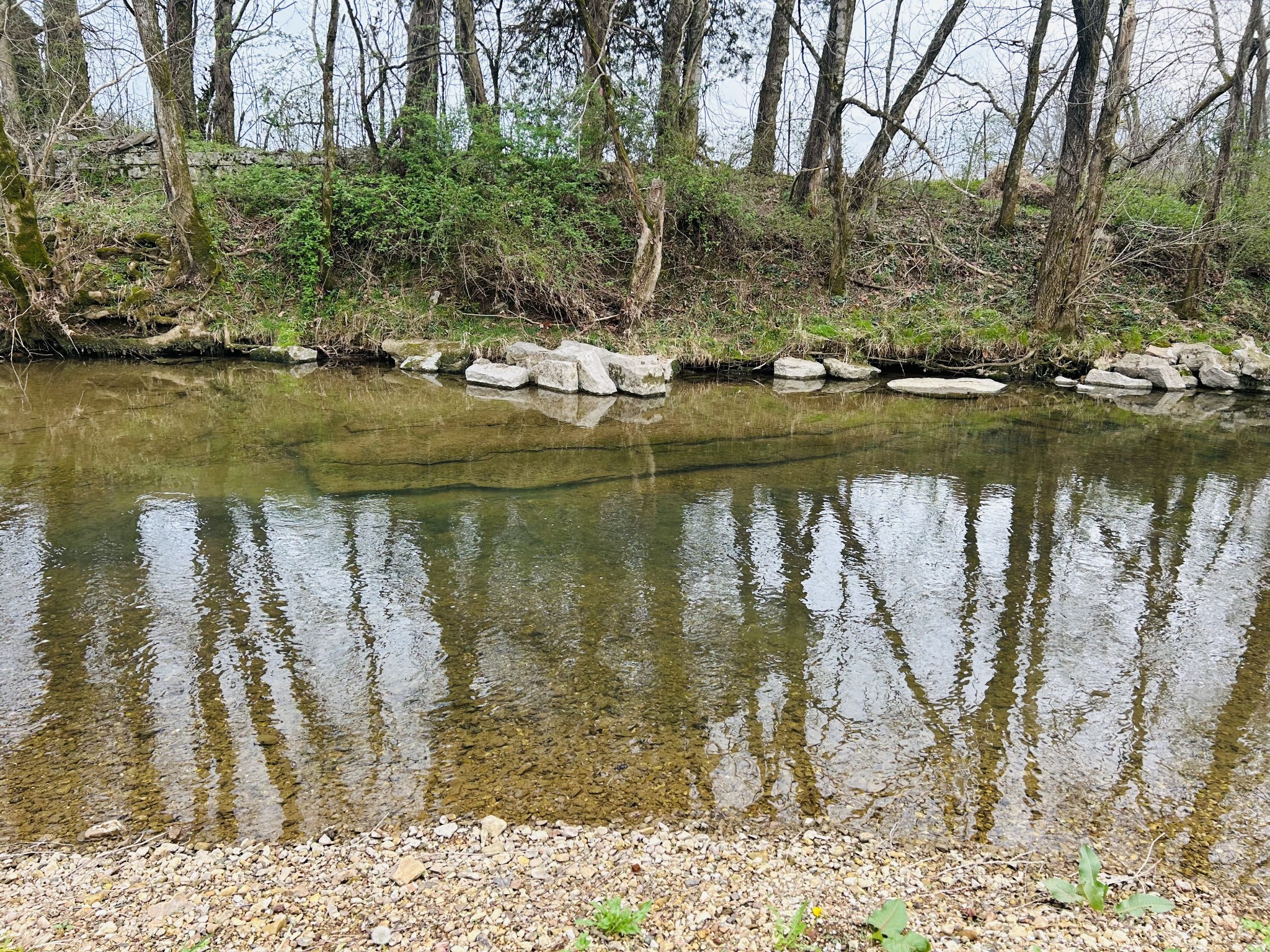 0 Clyde Gleaves Road Wartrace TN 37183