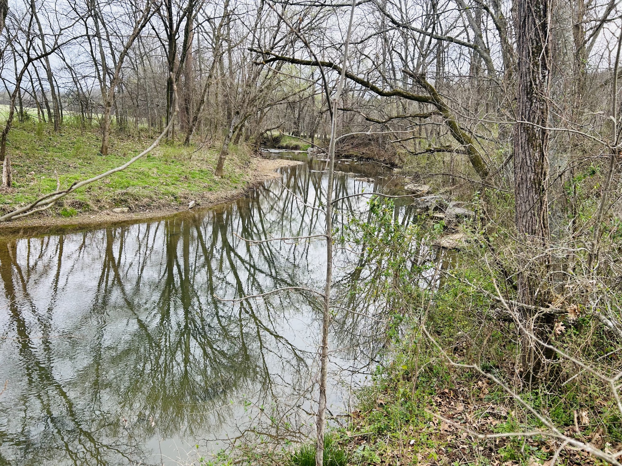 0 Clyde Gleaves Road Wartrace TN 37183
