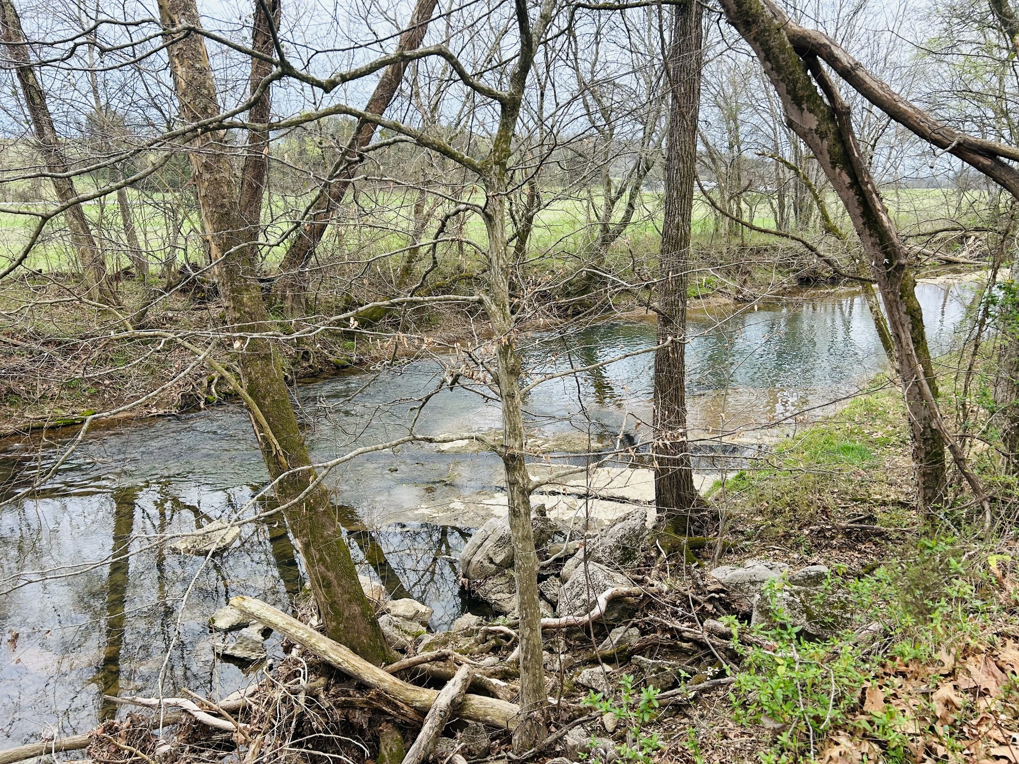 0 Clyde Gleaves Road Wartrace TN 37183