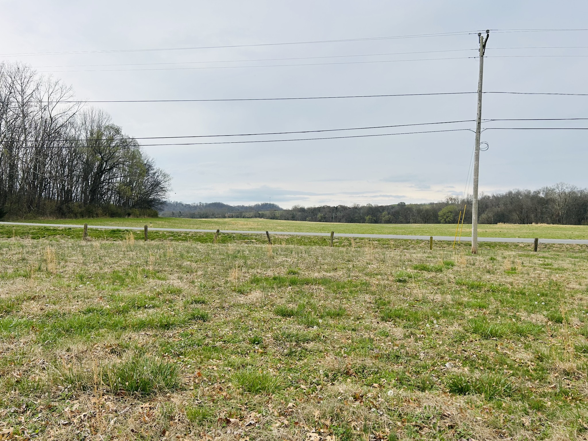 0 Clyde Gleaves Road Wartrace TN 37183