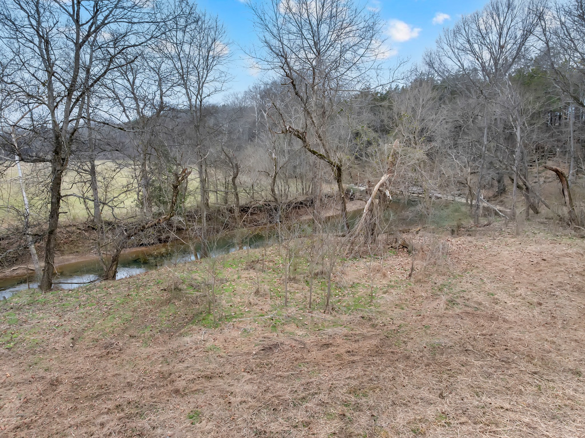 0 Clyde Gleaves Road Wartrace TN 37183
