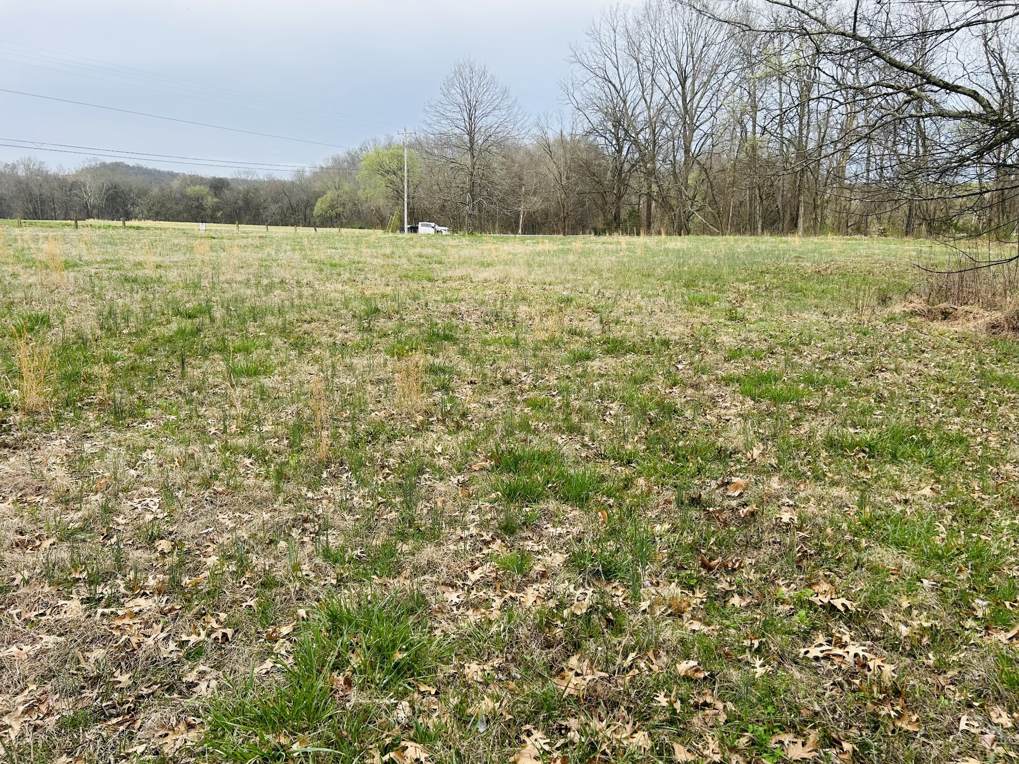 0 Clyde Gleaves Road Wartrace TN 37183