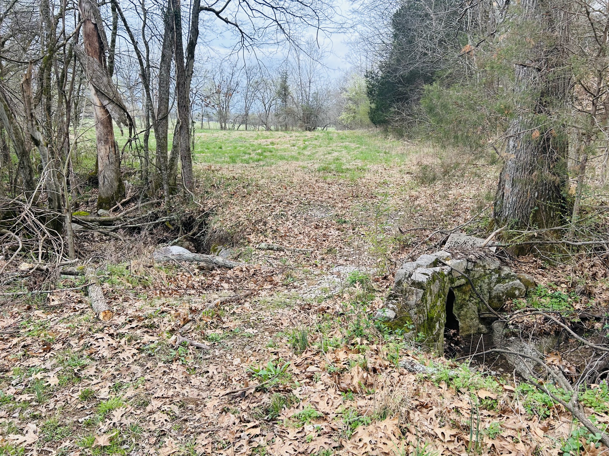 0 Clyde Gleaves Road Wartrace TN 37183