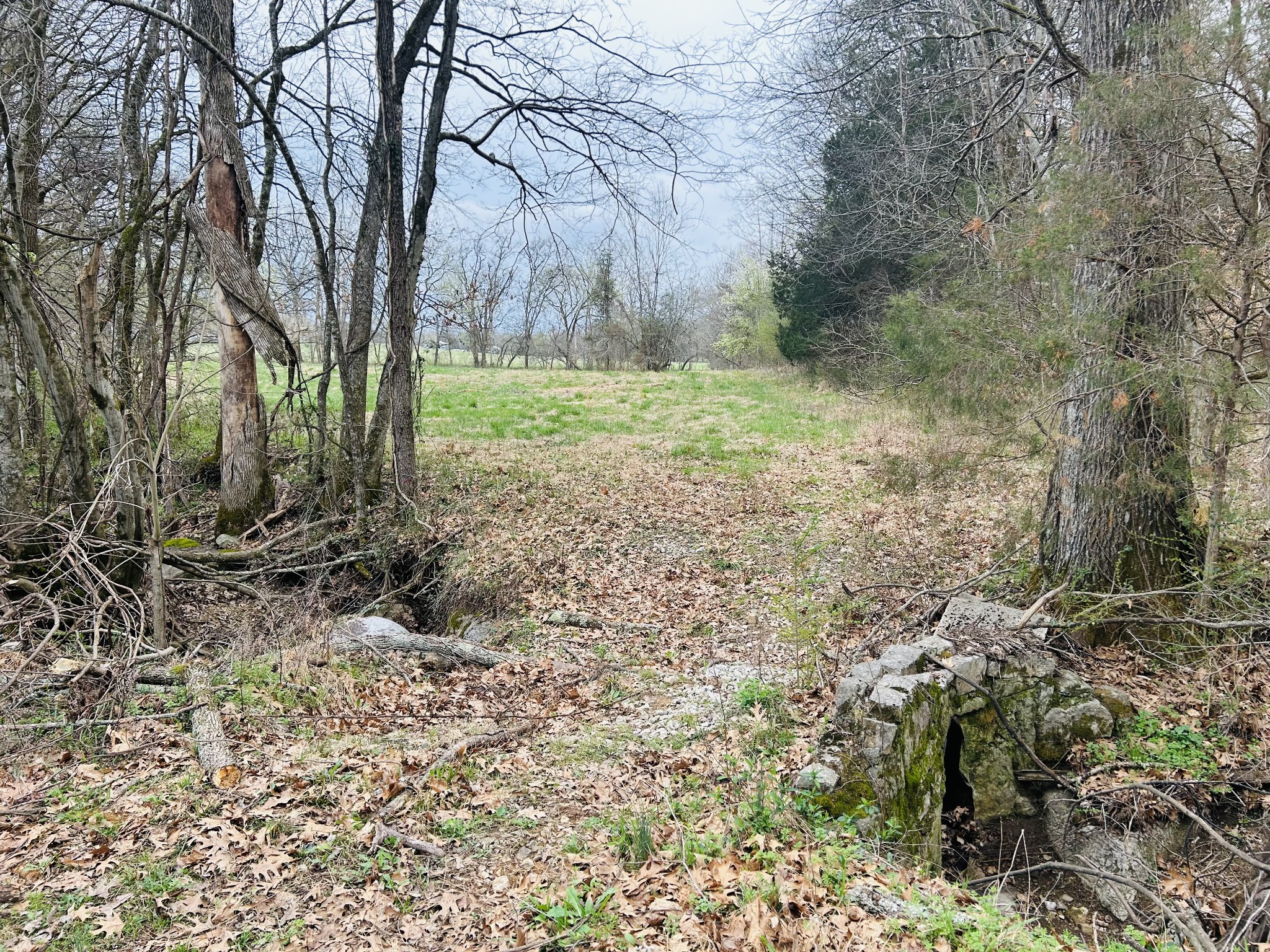 0 Clyde Gleaves Road Wartrace TN 37183