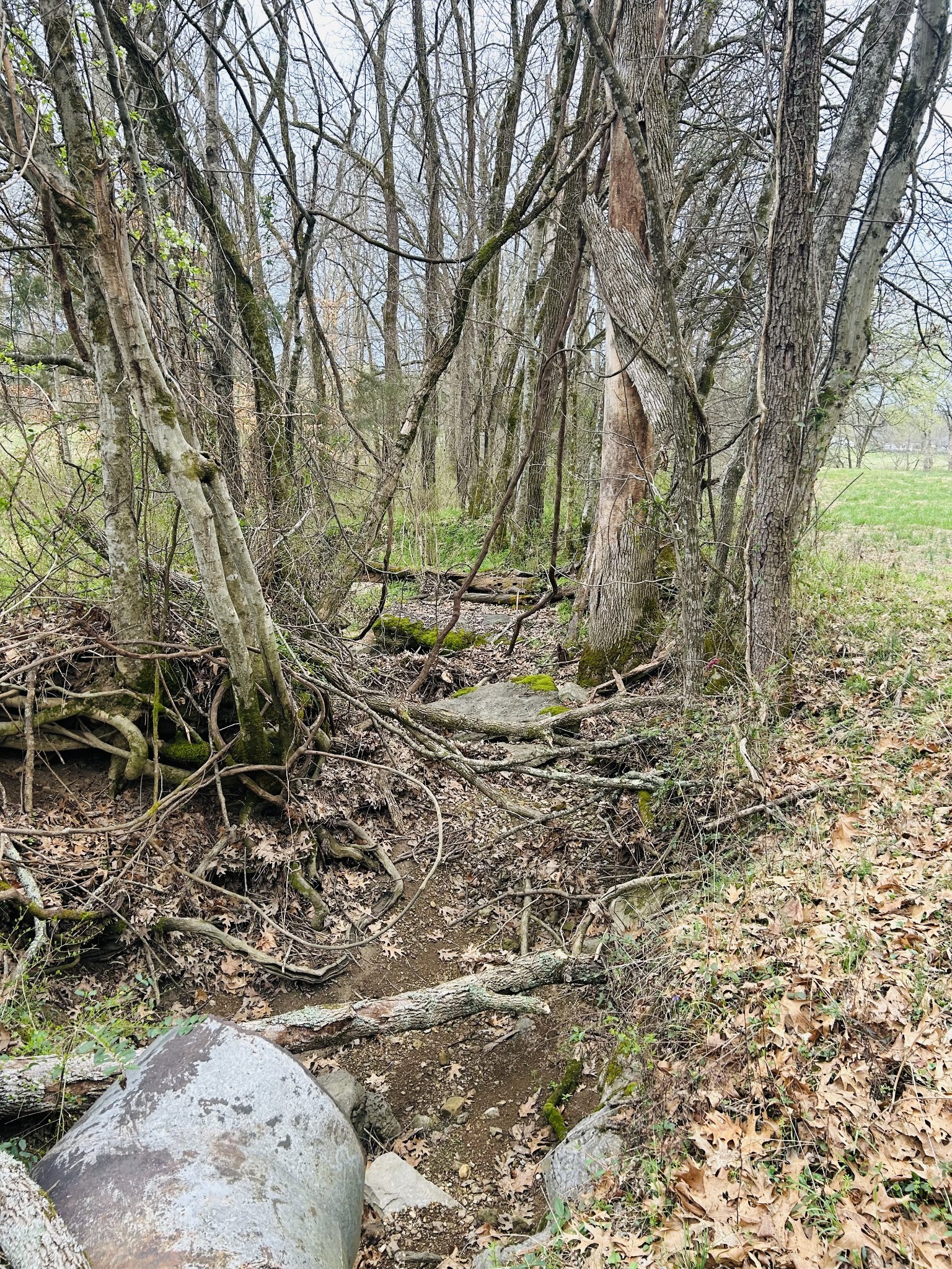 0 Clyde Gleaves Road Wartrace TN 37183